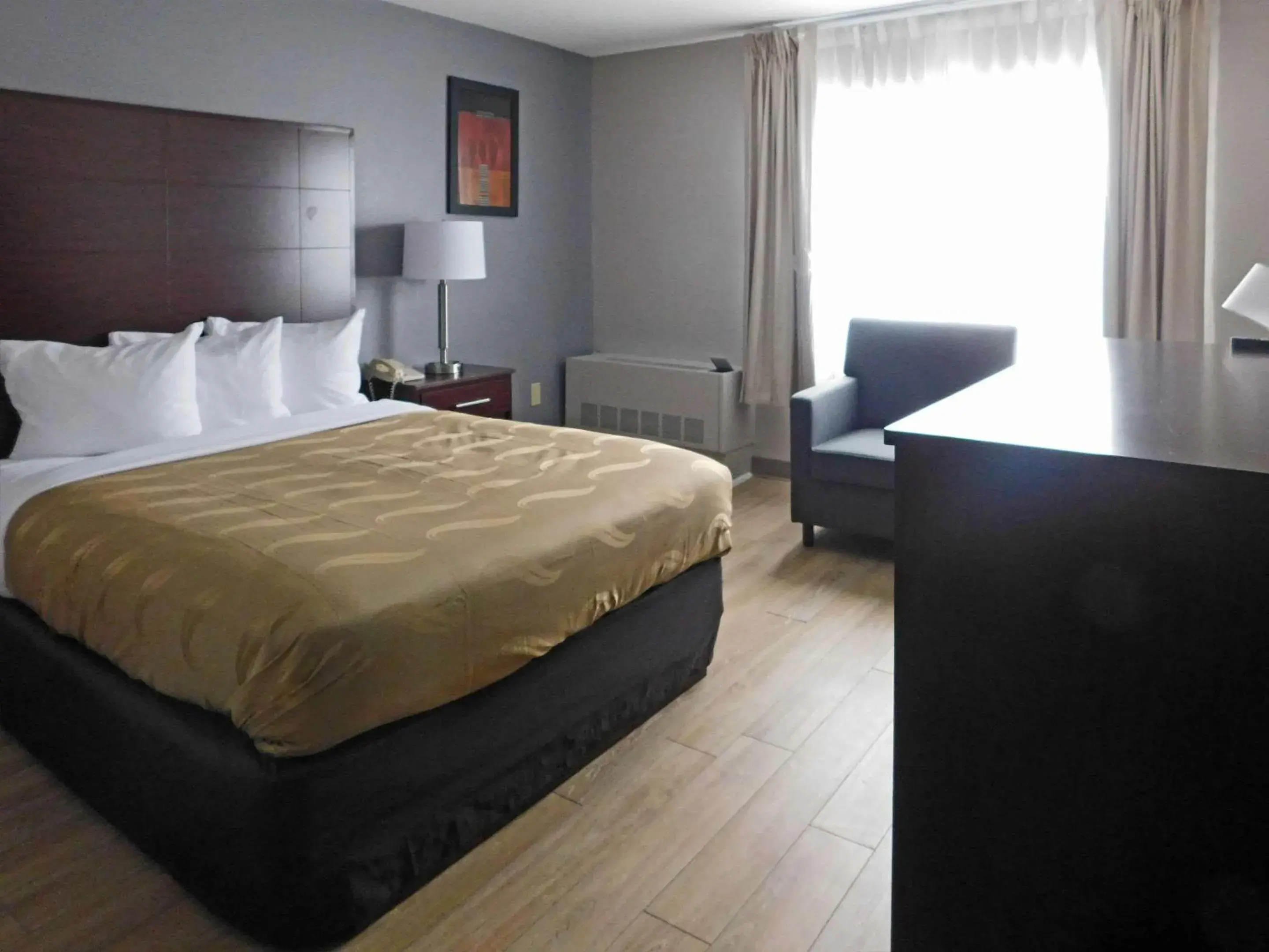 Queen Room Pet Friendly - Accessible/Non-Smoking in Quality Inn Colchester - Burlington Queen Room Pet Friendly - Accessible/Non-Smoking in Quality Inn Colchester - Burlington