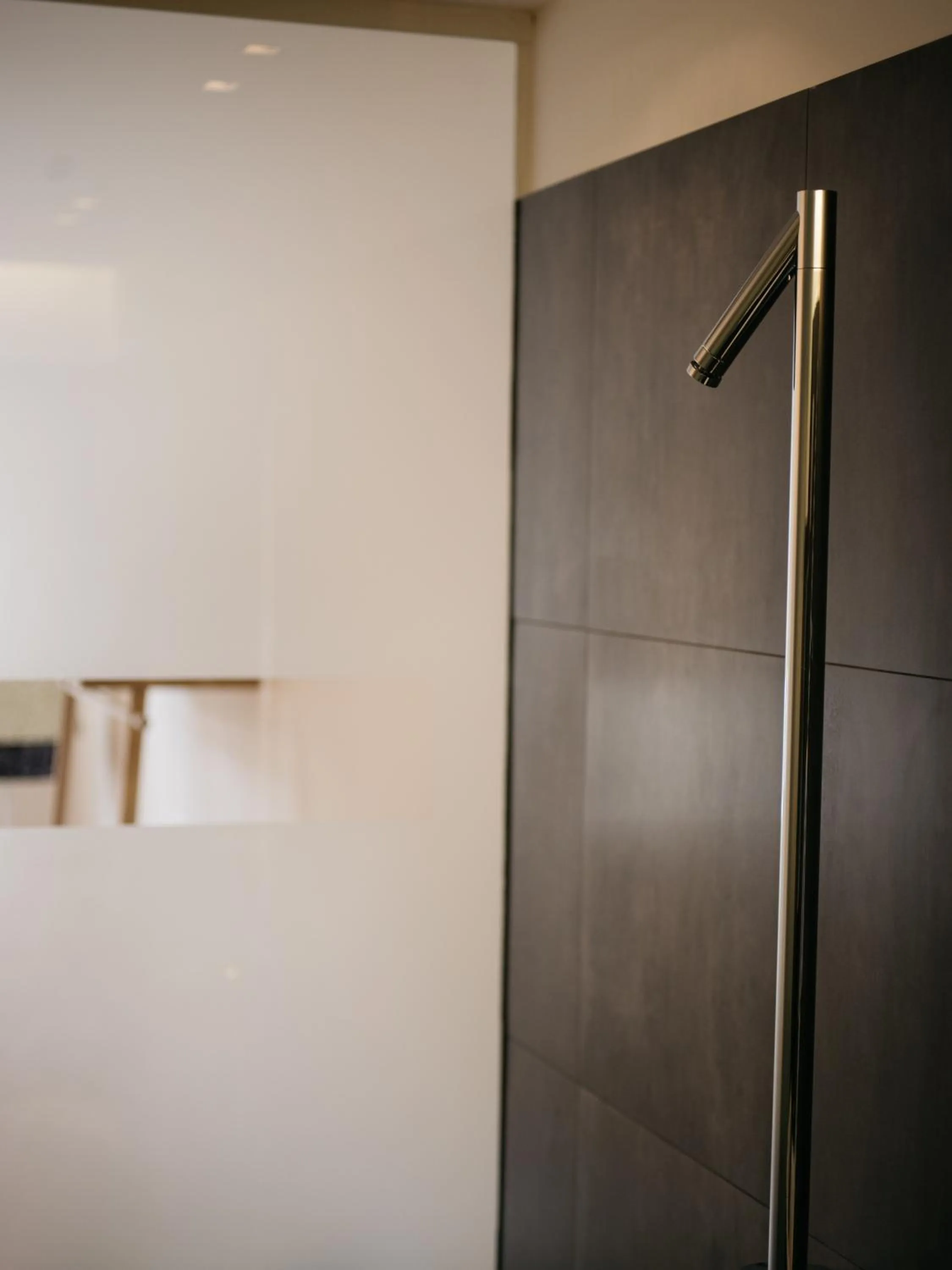 Shower in artHotel Blaue Gans