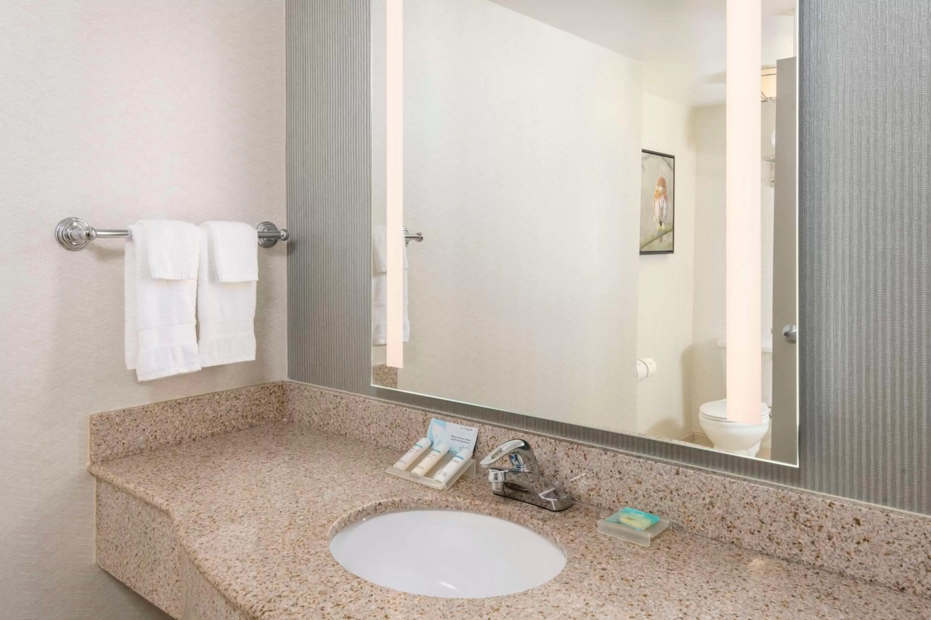 Bathroom in Hilton Garden Inn Scottsdale North/Perimeter Center