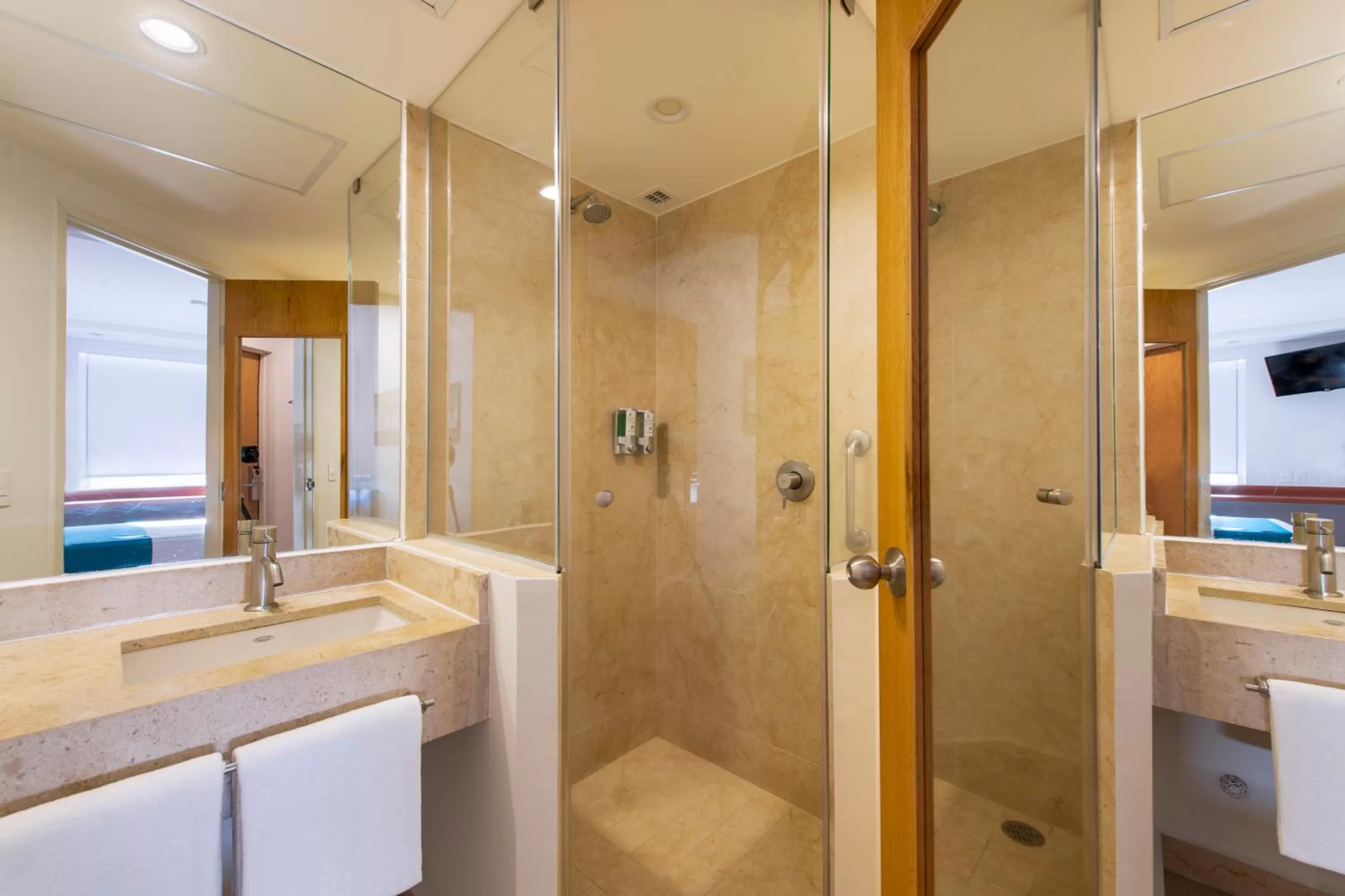 Bathroom in One Puerto Vallarta Aeropuerto