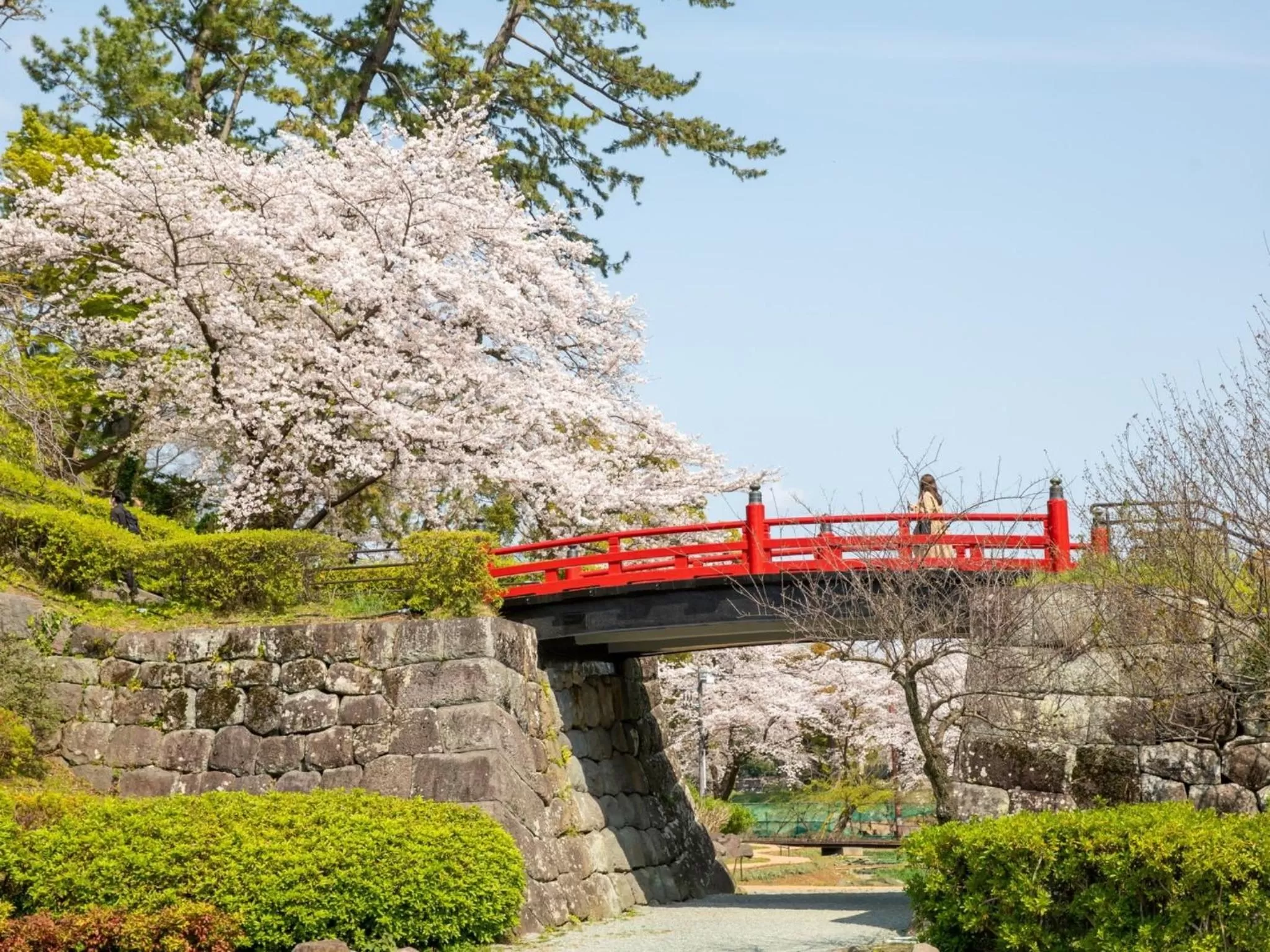 Nearby landmark in Odawara Terminal Hotel