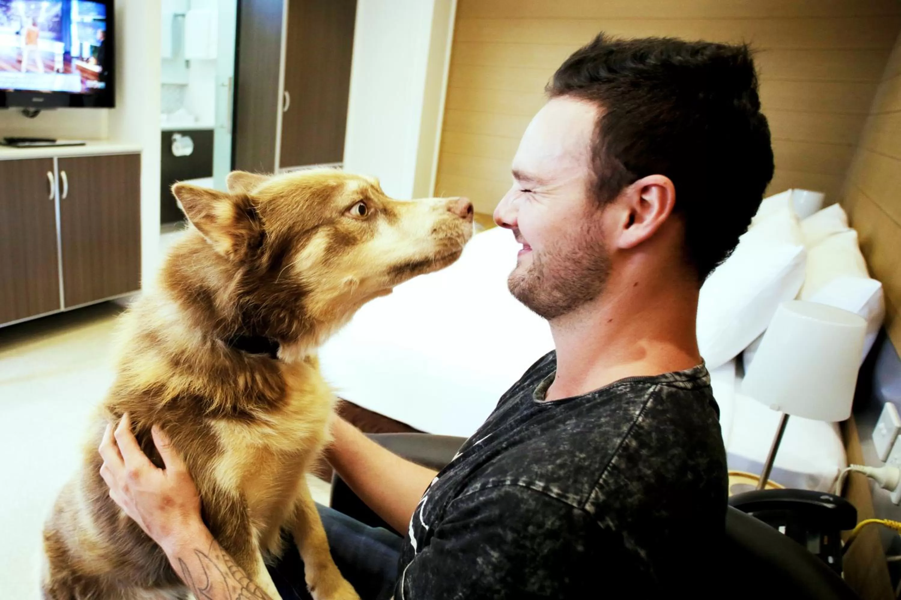 Pets in Trip Motel Gatton