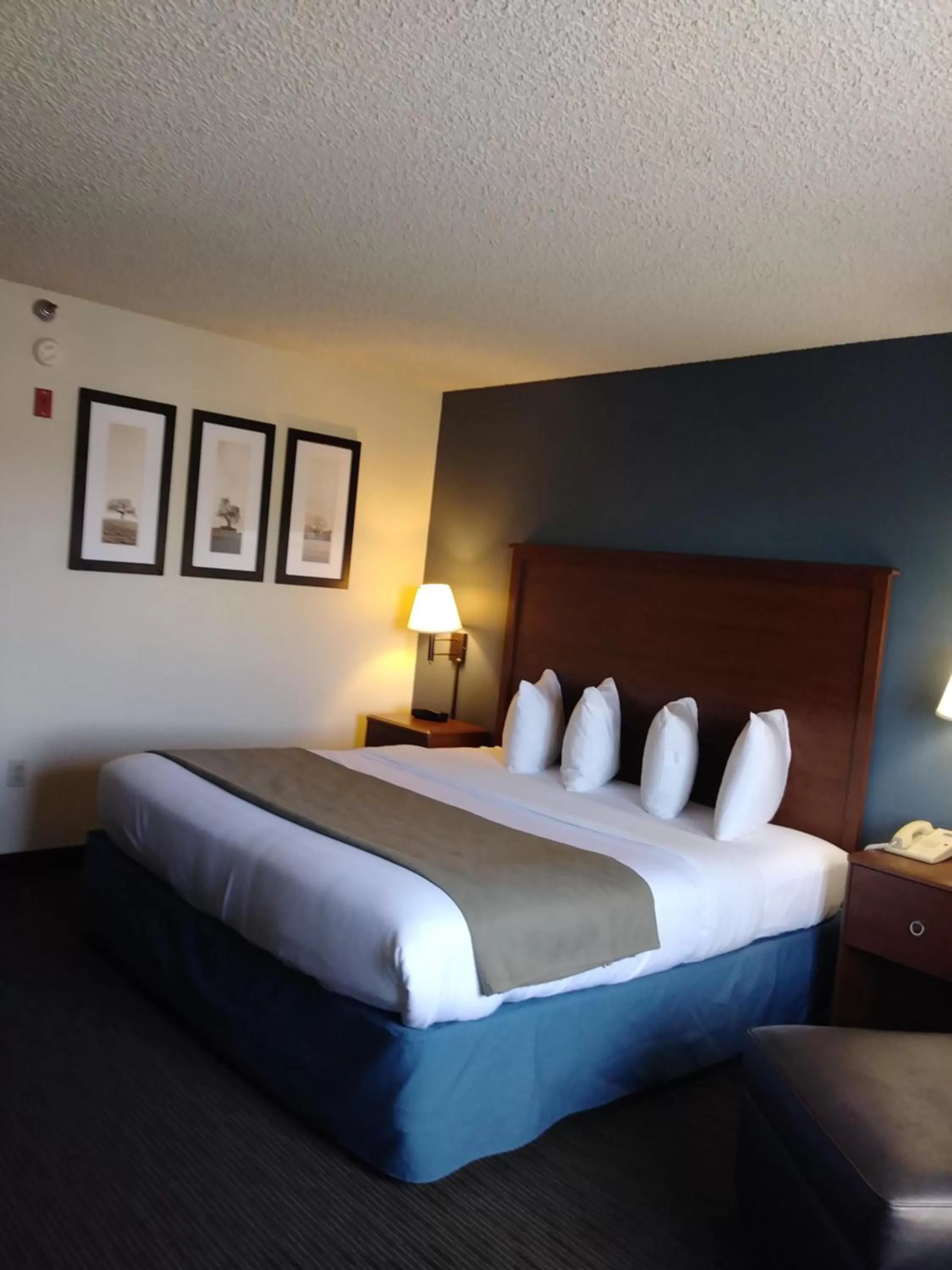 Bed in AmericInn by Wyndham Windsor Ft. Collins