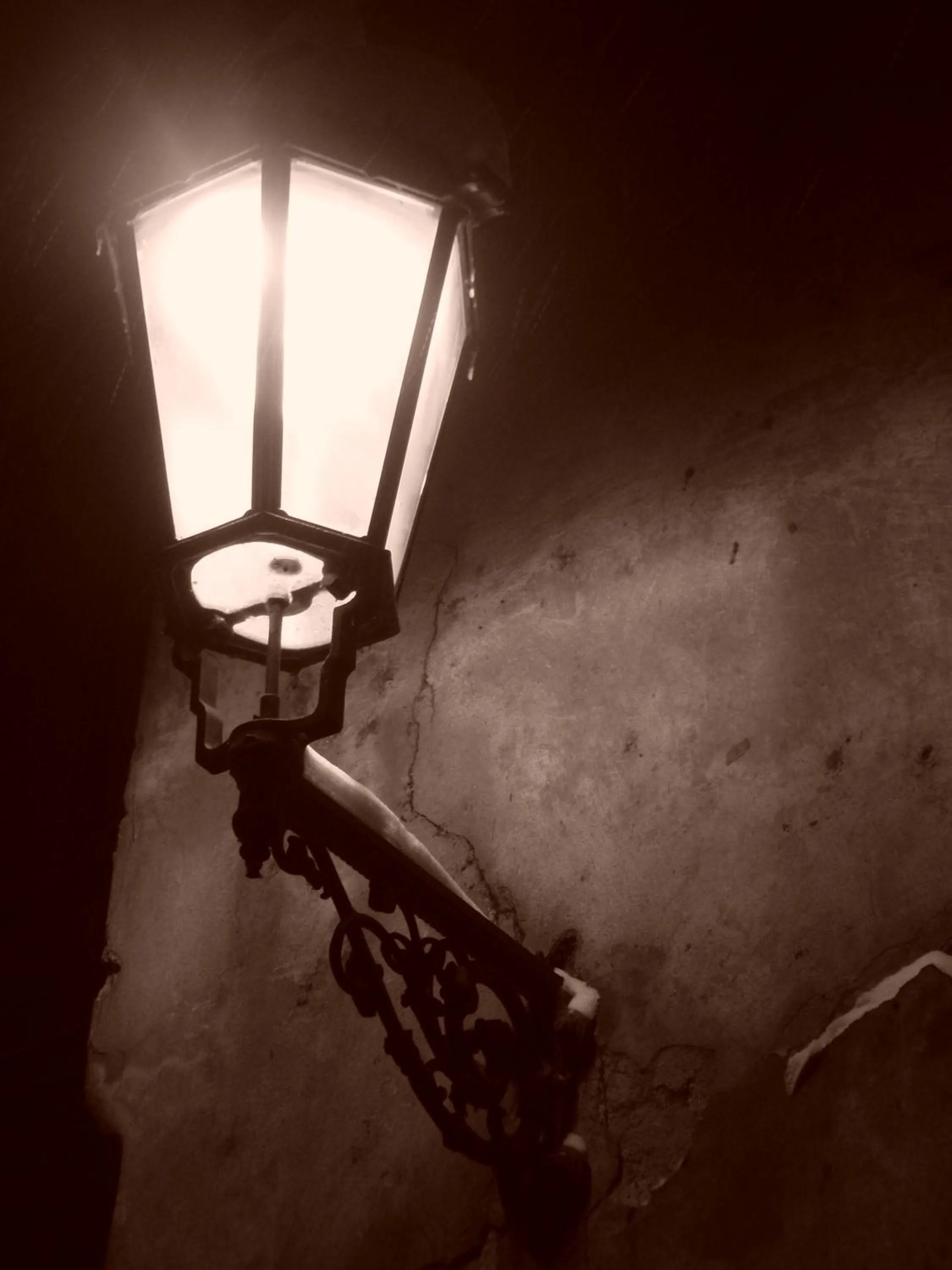 Area and facilities in Hotel Certovka