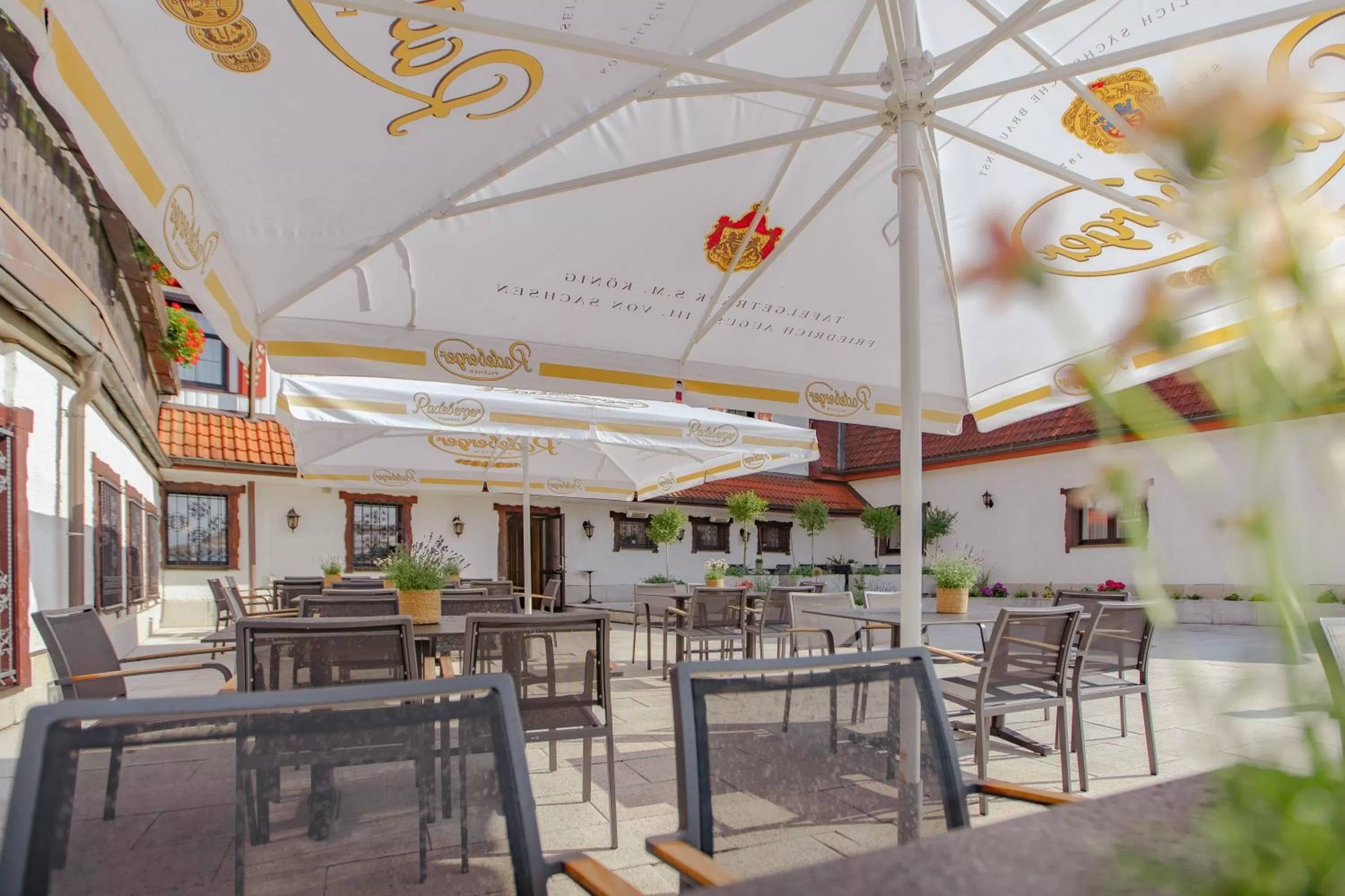 Balcony/Terrace in Hotel Frauensteiner Hof