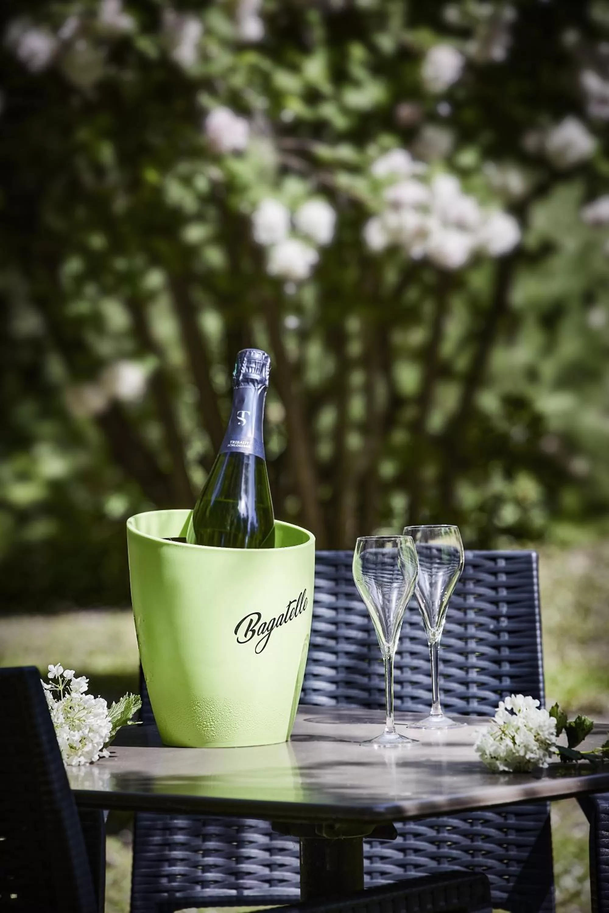 Garden in Logis Bagatelle - 51530 Dizy