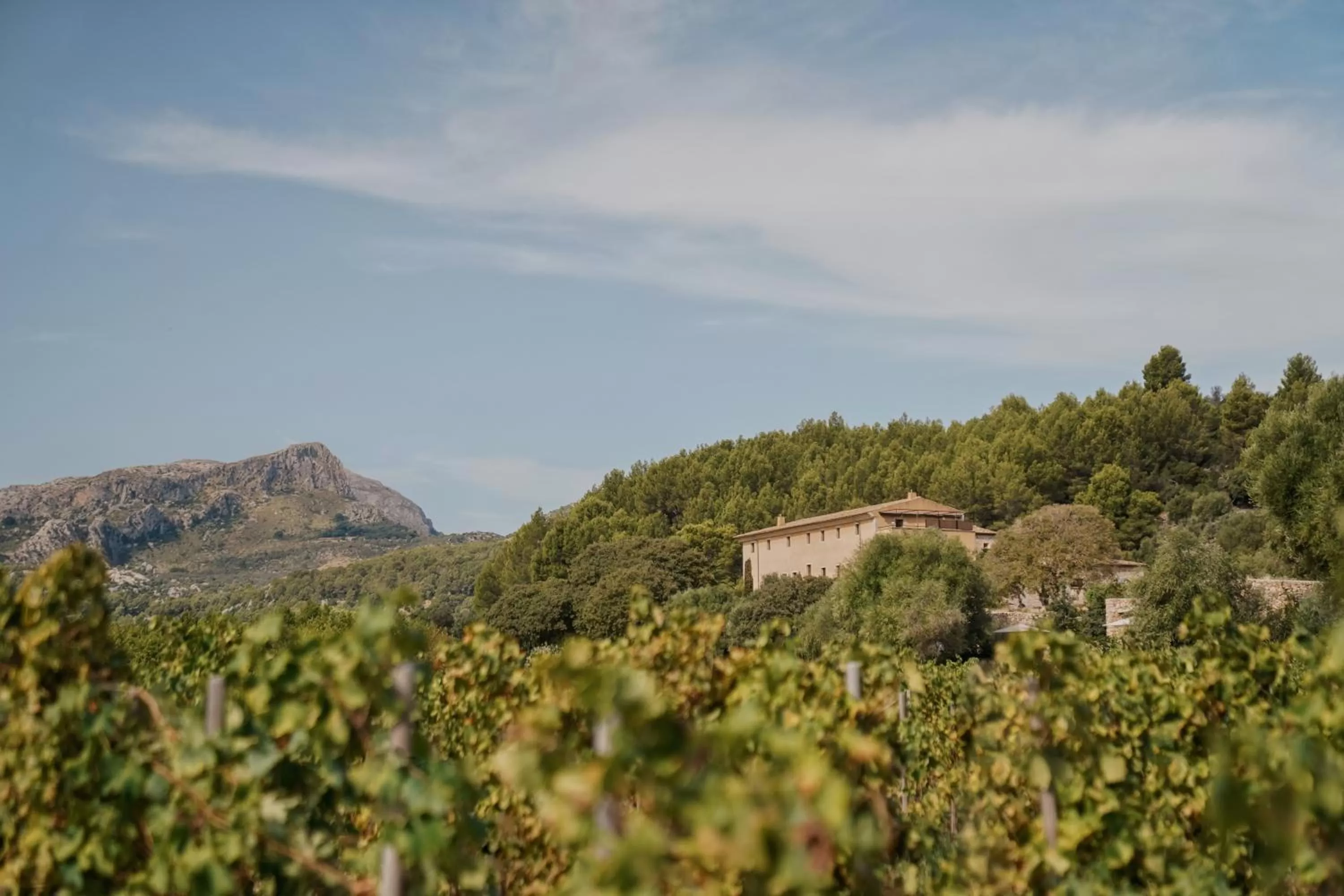 Off site in Son Brull Hotel & Spa - Relais & Chateaux