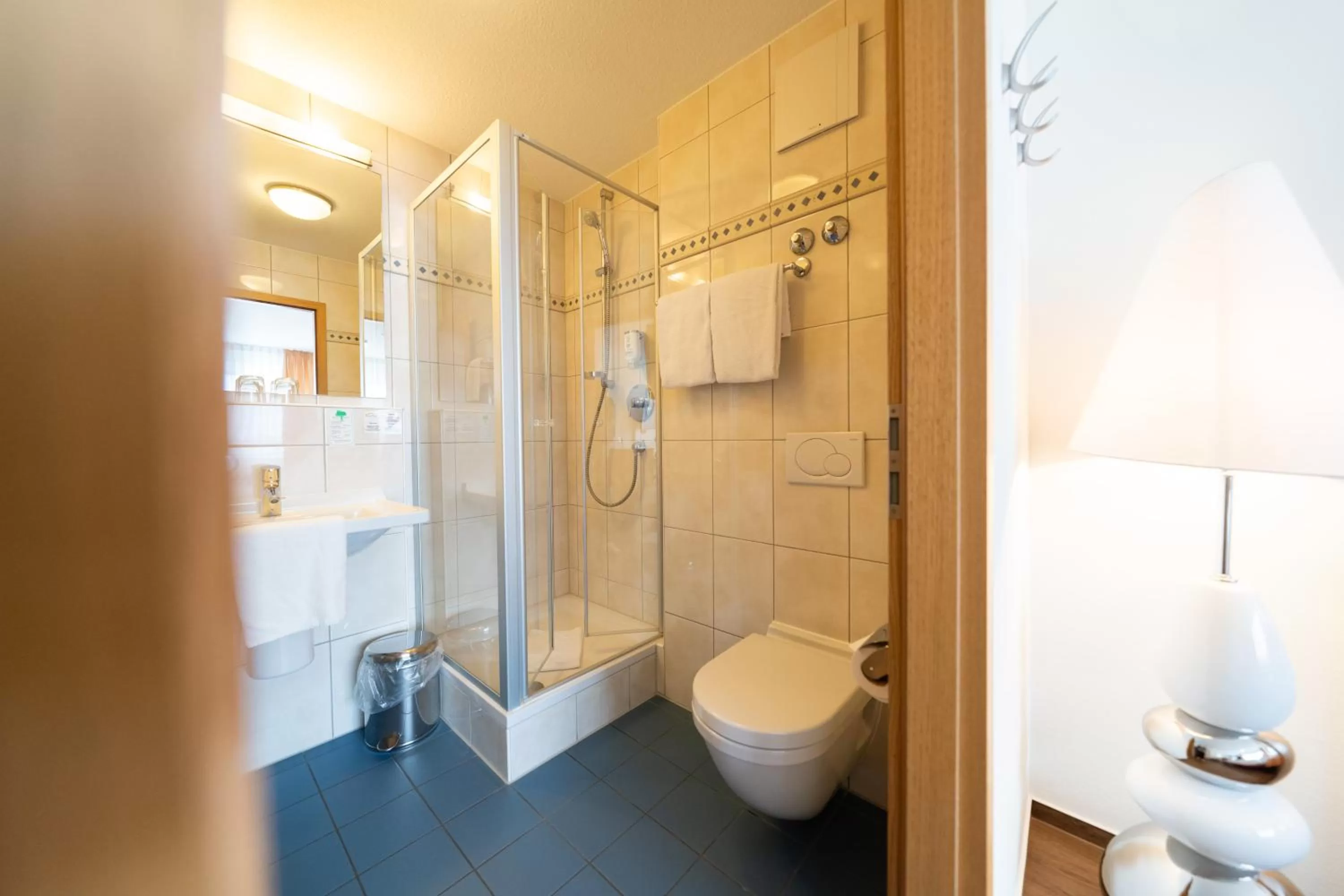 Shower in ates Hotel Kehl