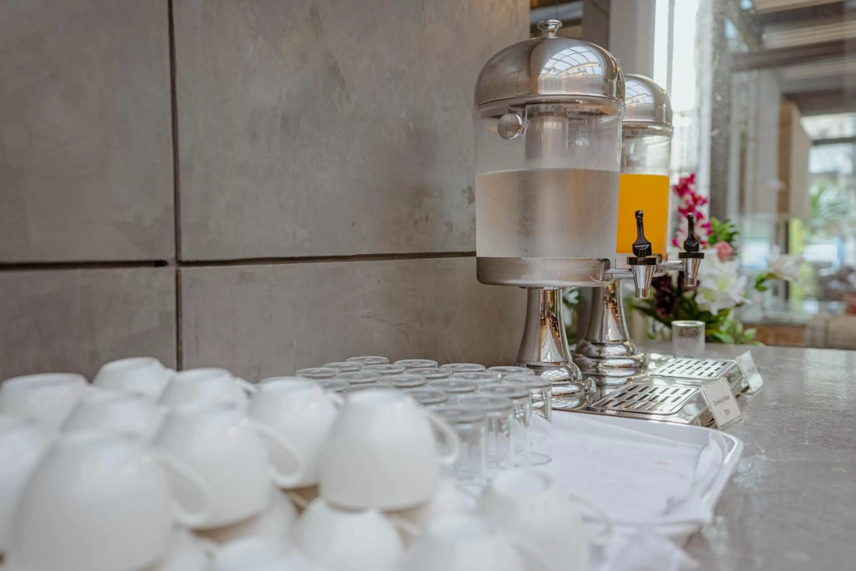 Breakfast in Peace Land Khaosan