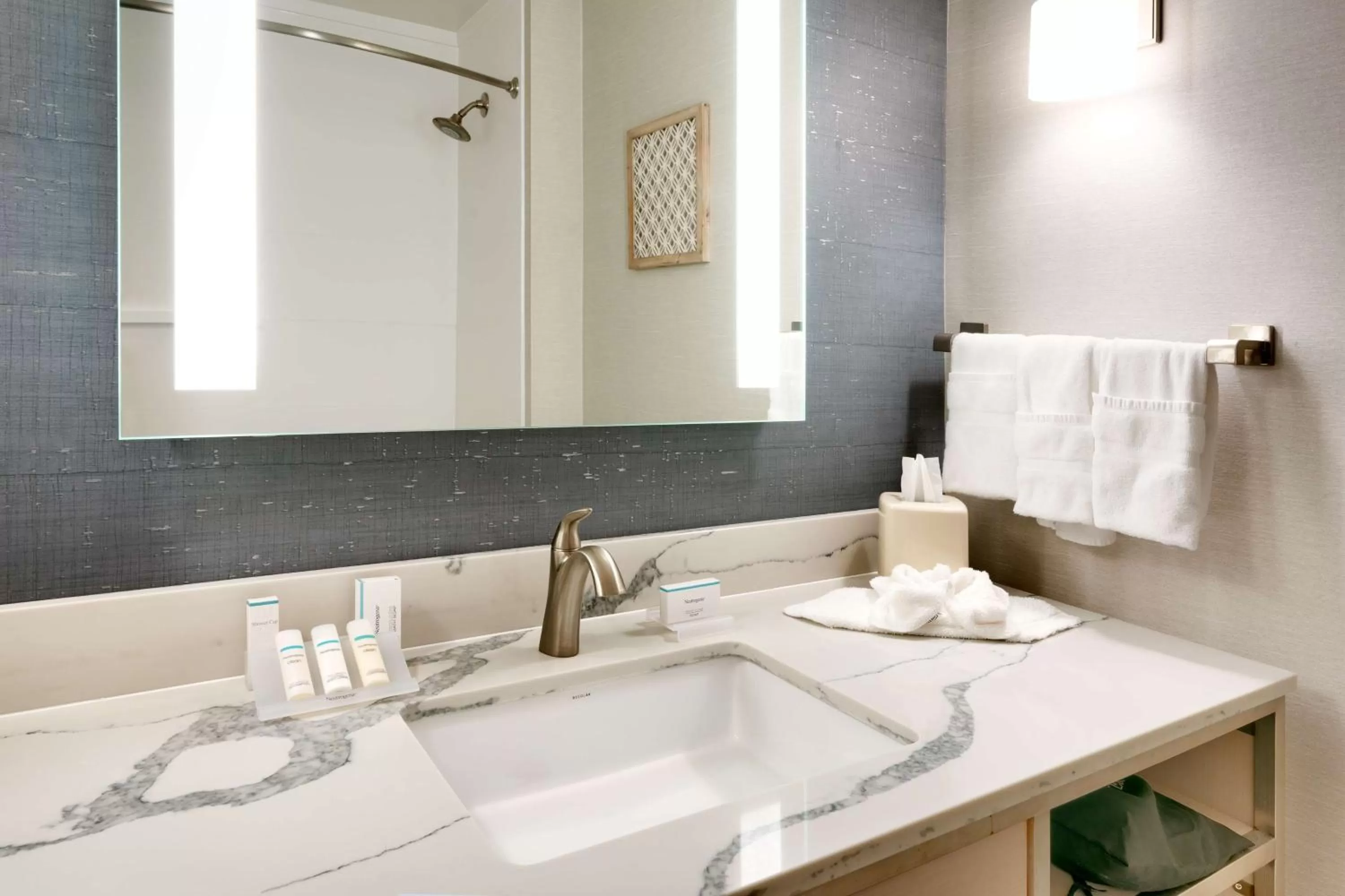 Bathroom in Hilton Garden Inn Idaho Falls