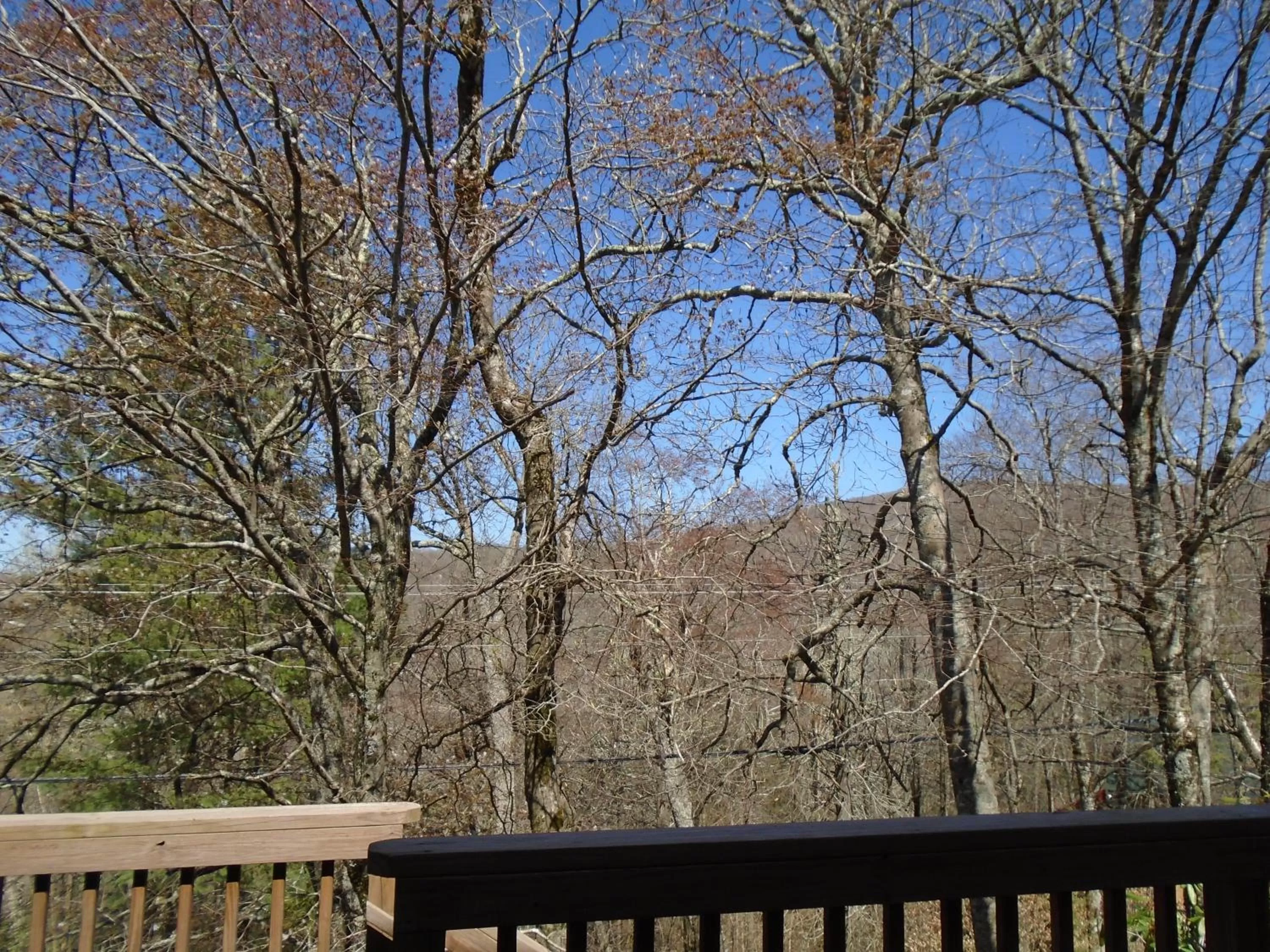 Natural landscape, Winter in Cedar Village Condominiums