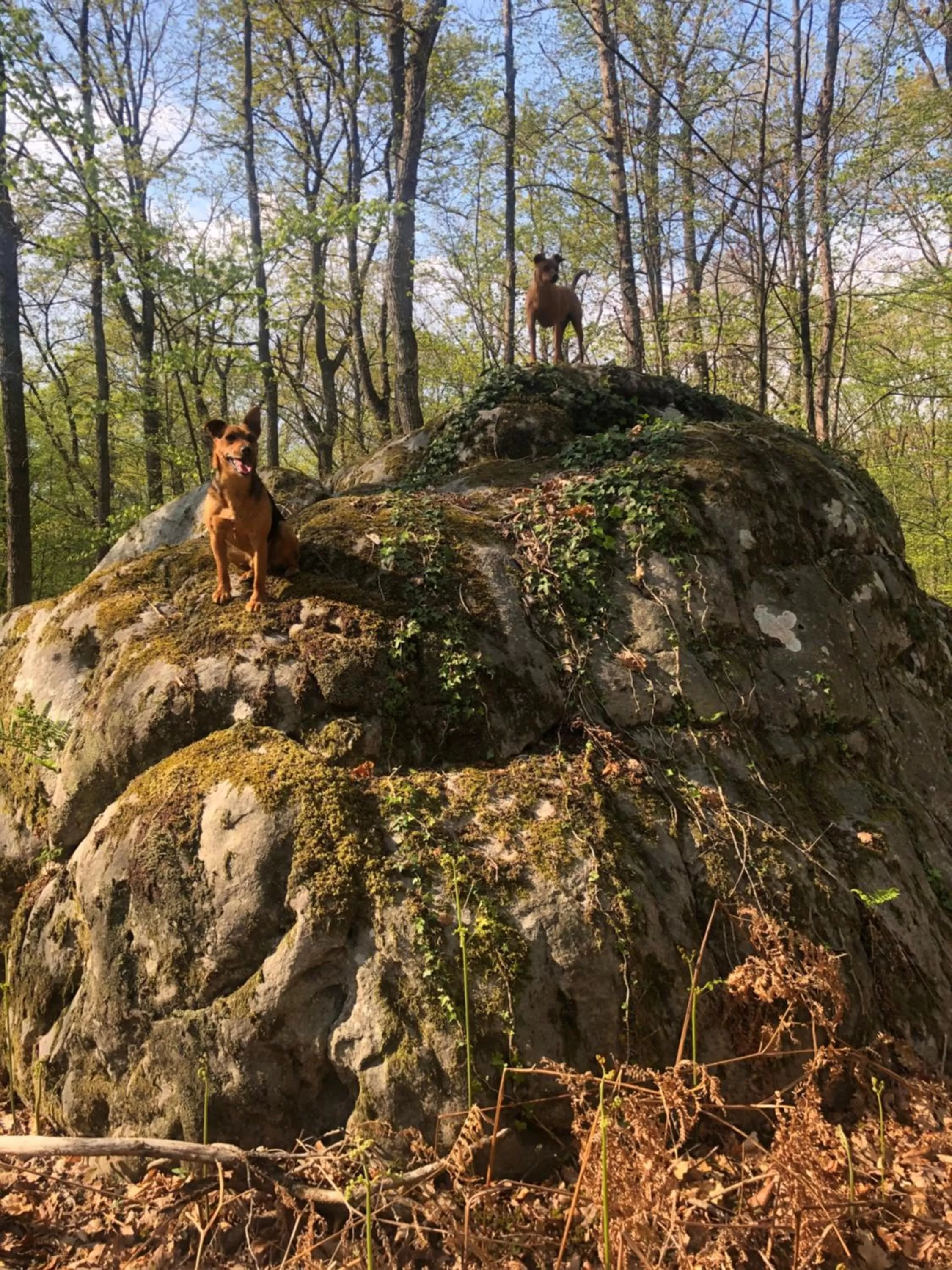Hiking in La plaine de l'Angelus