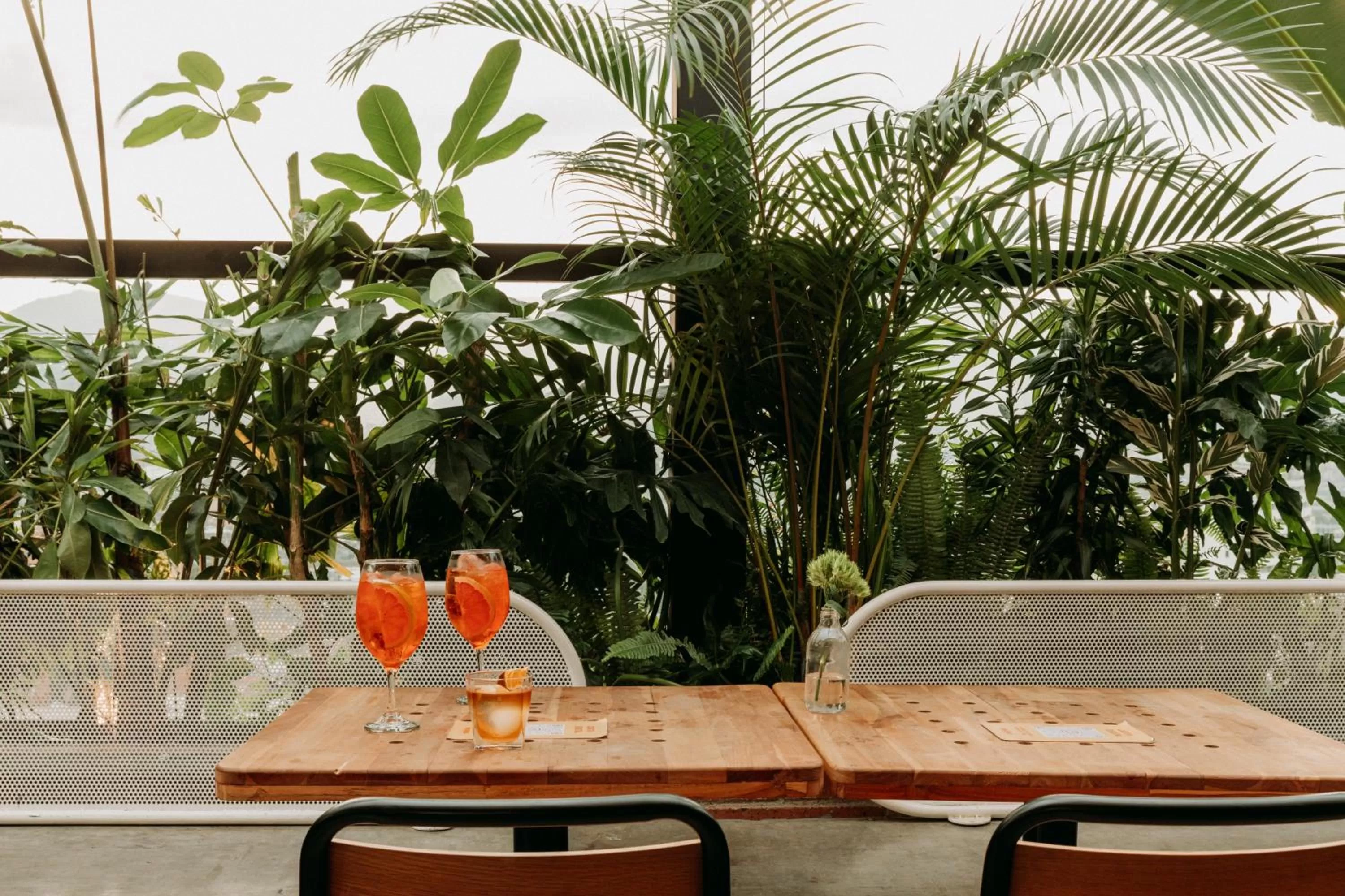 Drinks in The Somos Beats Hotel & Rooftop