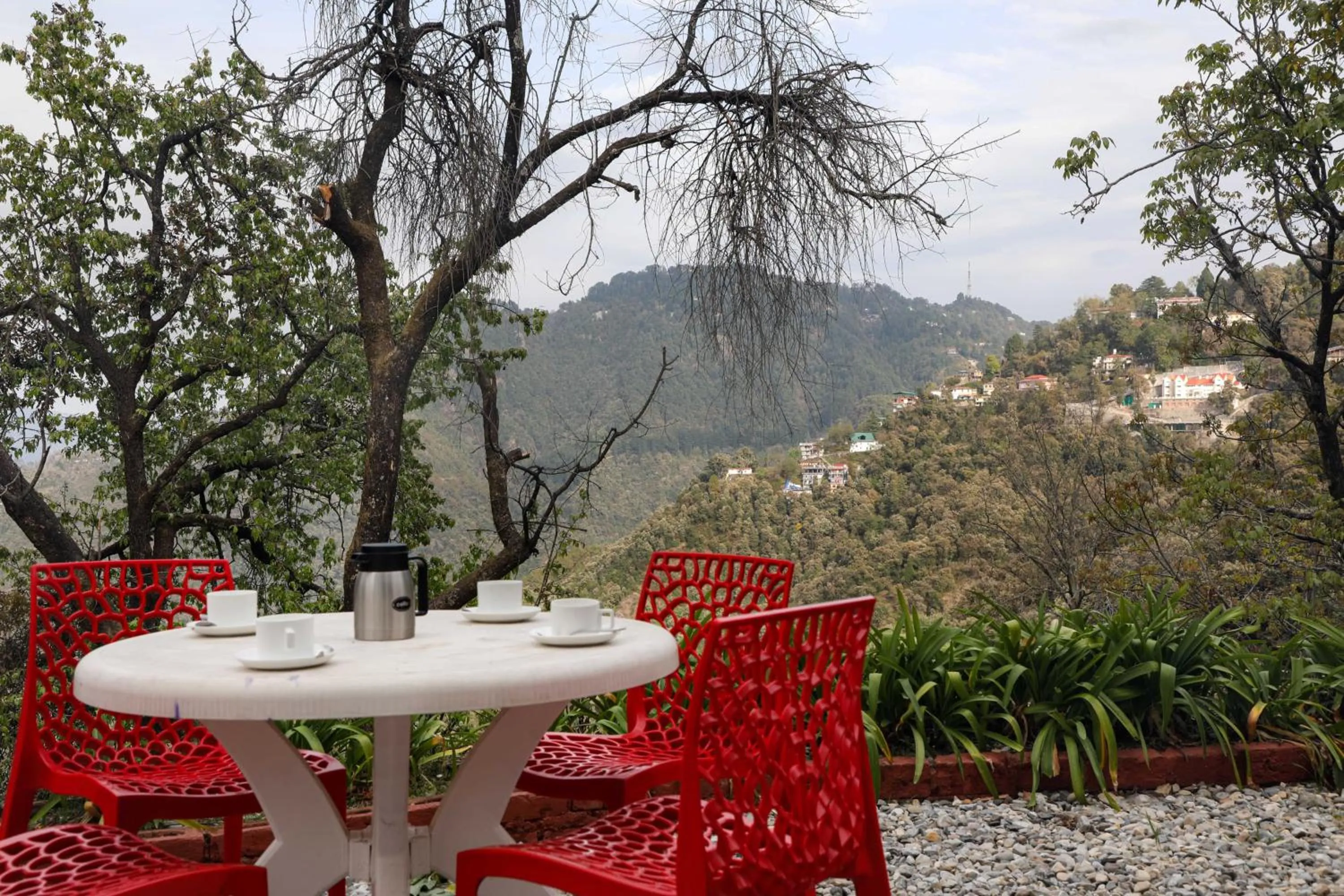 Spring in The Mountain Quail