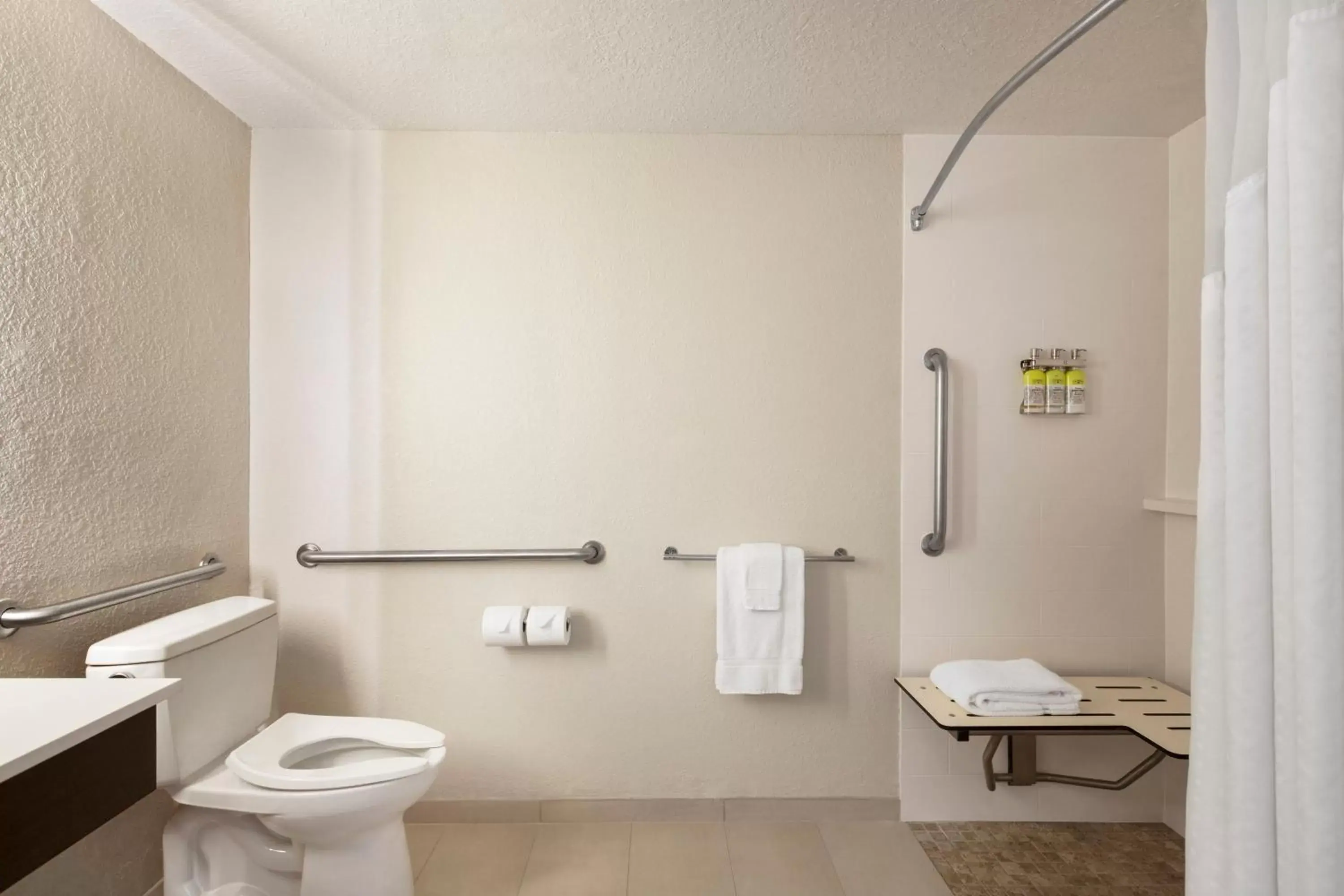 King Room - Mobility Access/Roll in Shower - Non-Smoking in Holiday Inn Express & Suites Sarasota East, an IHG Hotel King Room - Mobility Access/Roll in Shower - Non-Smoking in Holiday Inn Express & Suites Sarasota East, an IHG Hotel