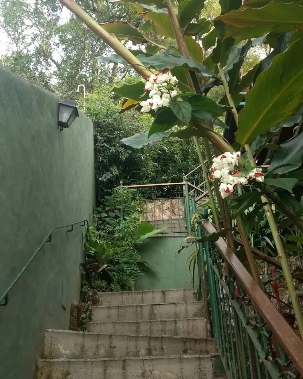 Natural landscape in Pousada Solar D Alcina