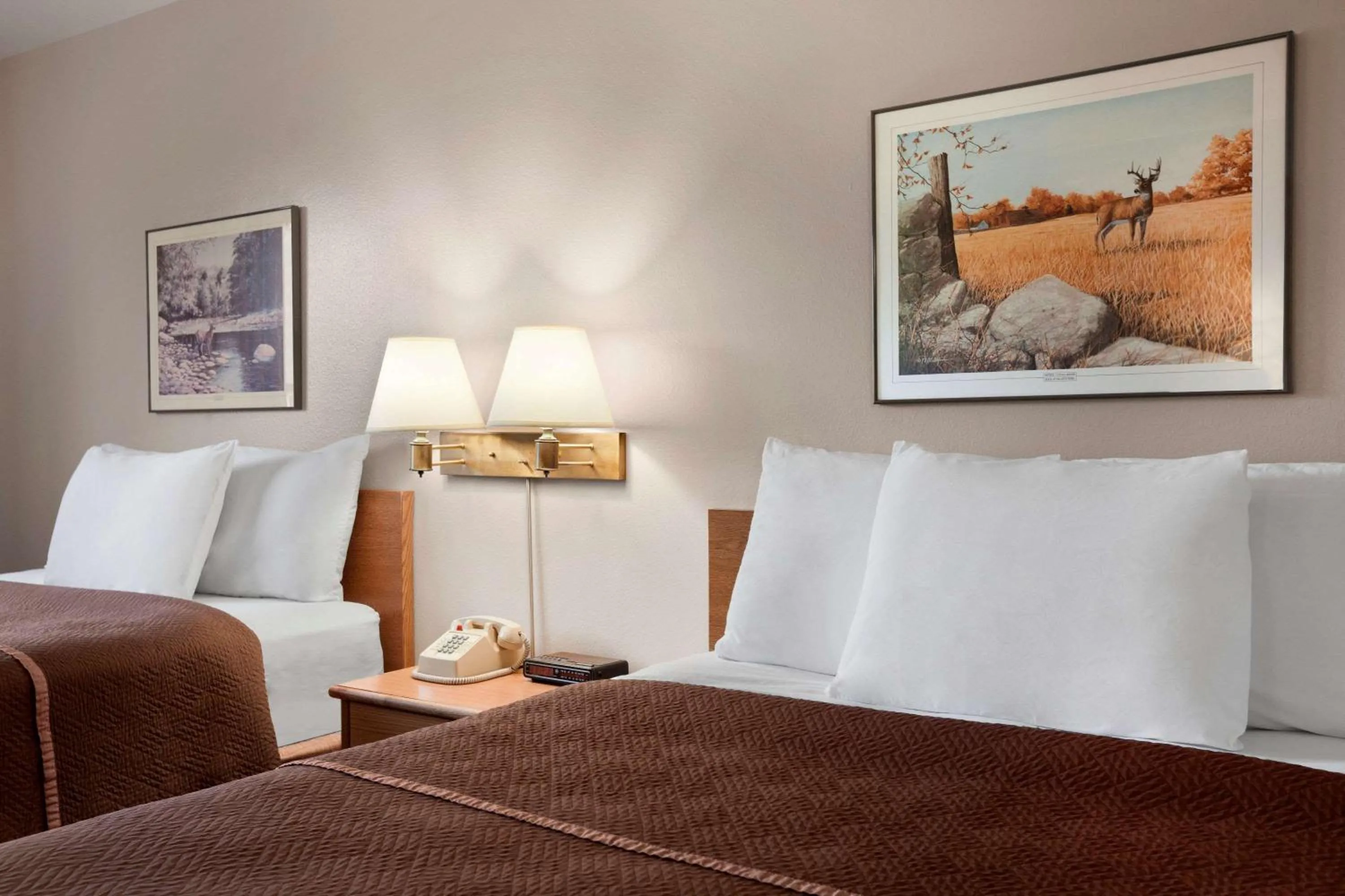 Photo of the whole room in Travelodge by Wyndham Elko NV