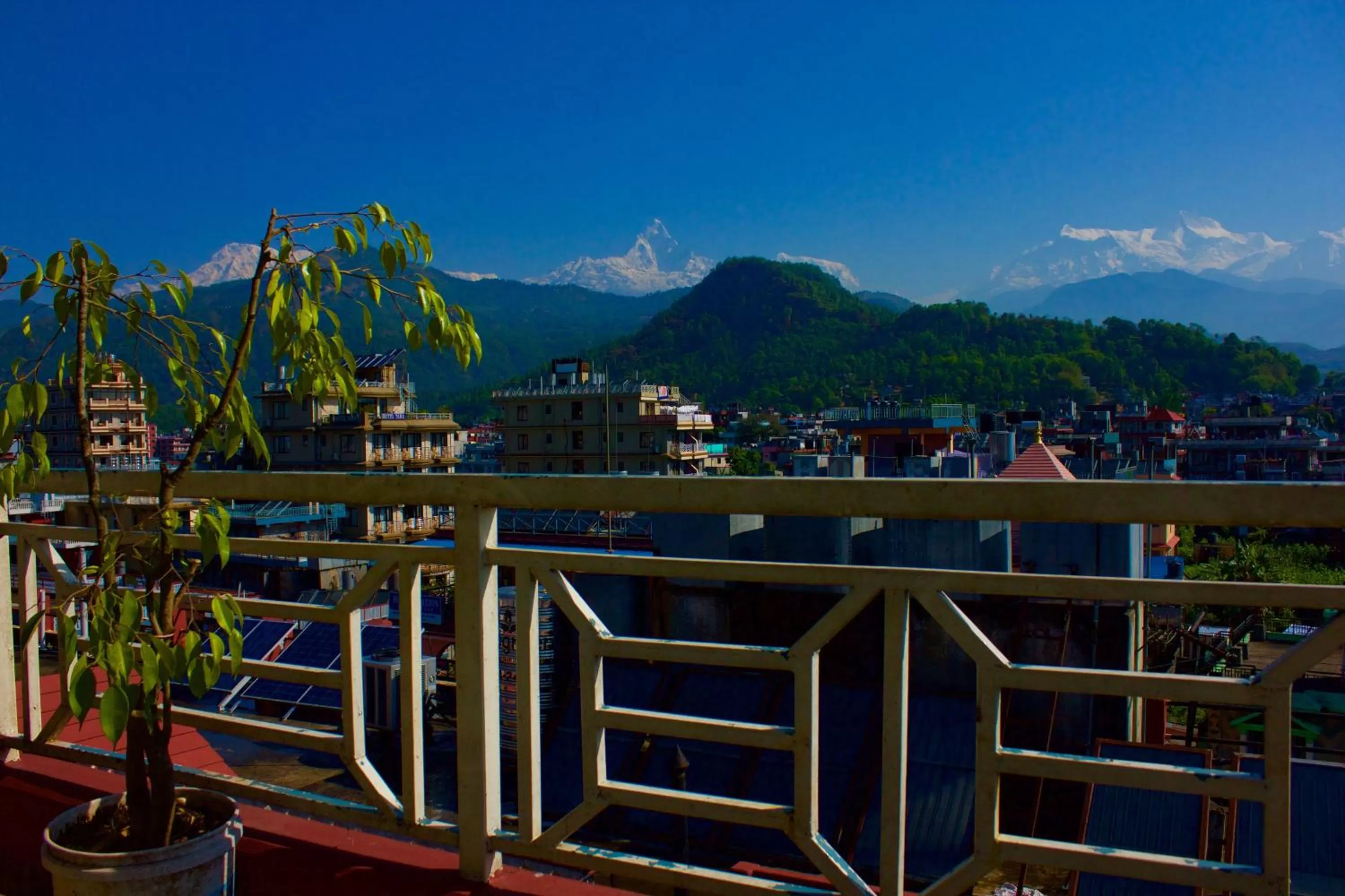 Mountain view in Hotel Himalayan Inn