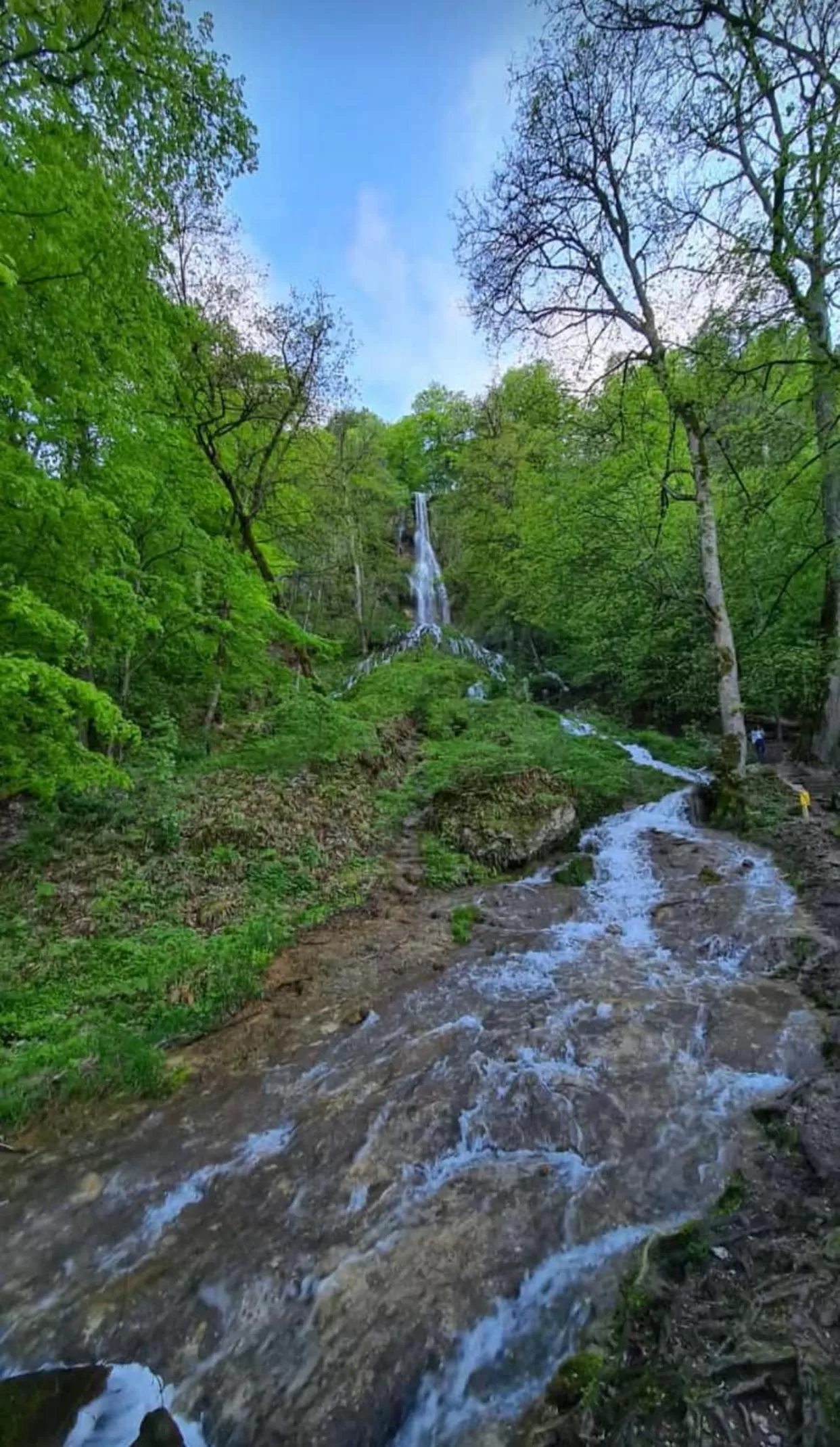 Staff in Tools Hotel Laichingen