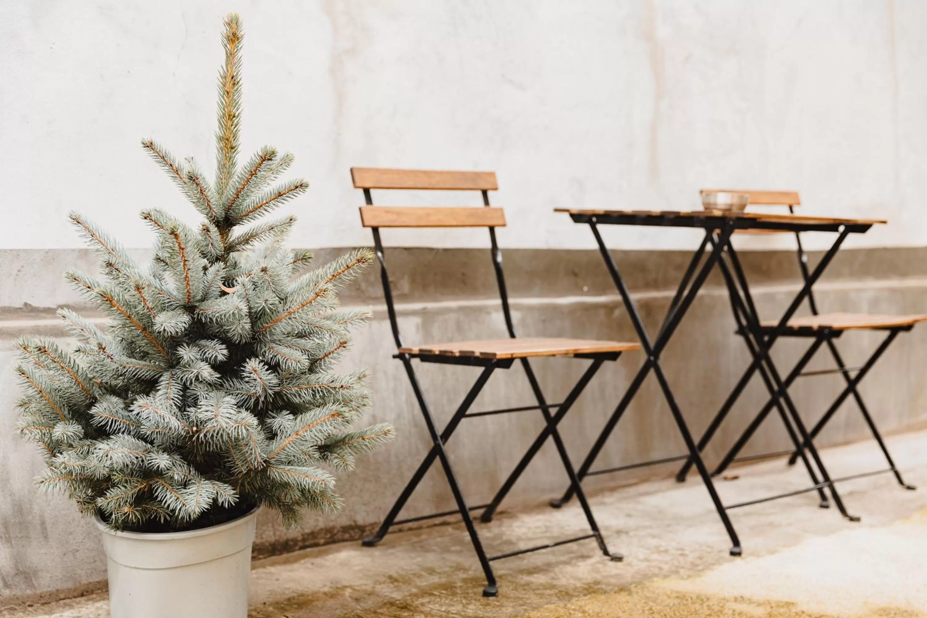 Balcony/Terrace in ALBERT RESIDENCE Brasov with complimentary parking and 10 percent Food and Drinks