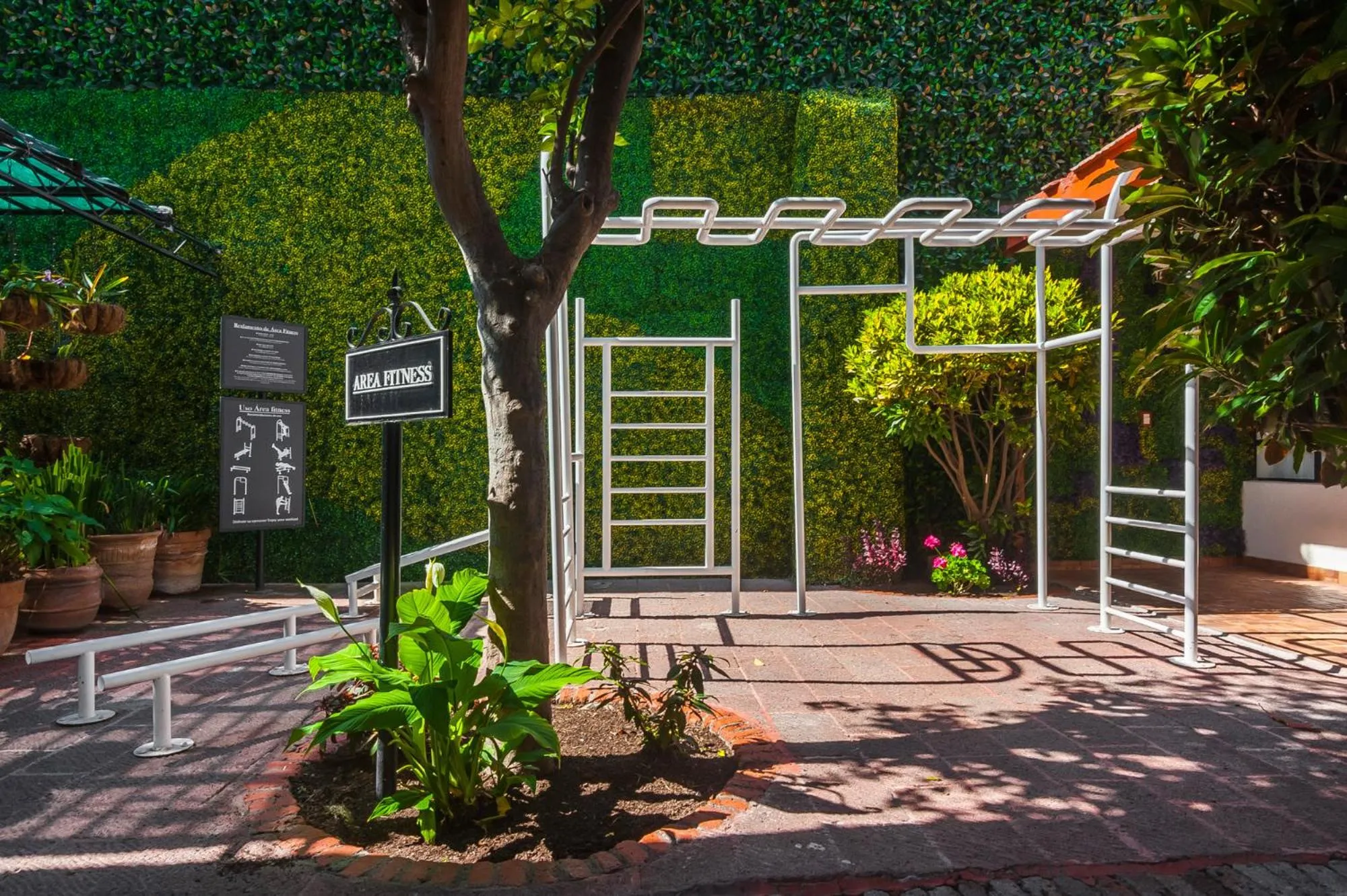 Garden in Hotel Isabel