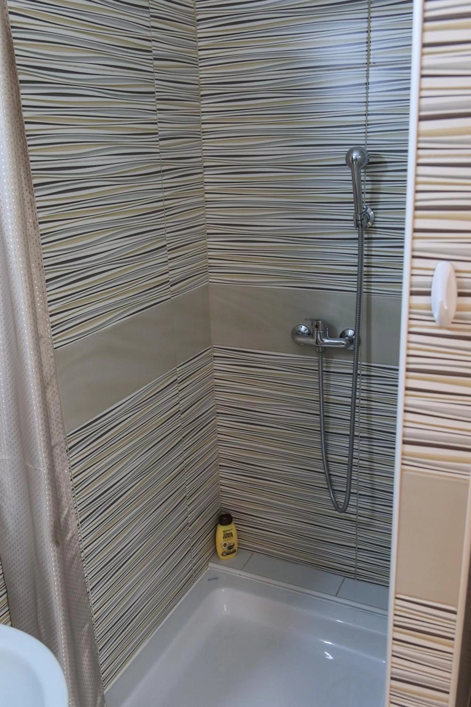 Bathroom in Pansion Centar