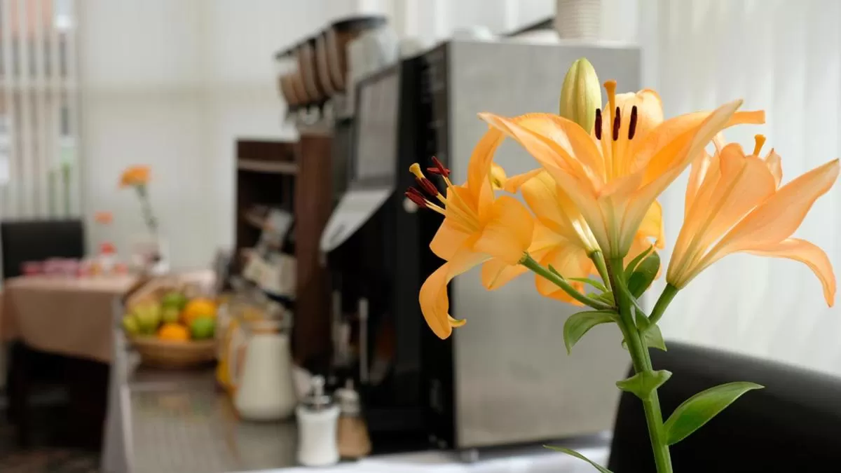 Continental breakfast in Victoria Park Hotel