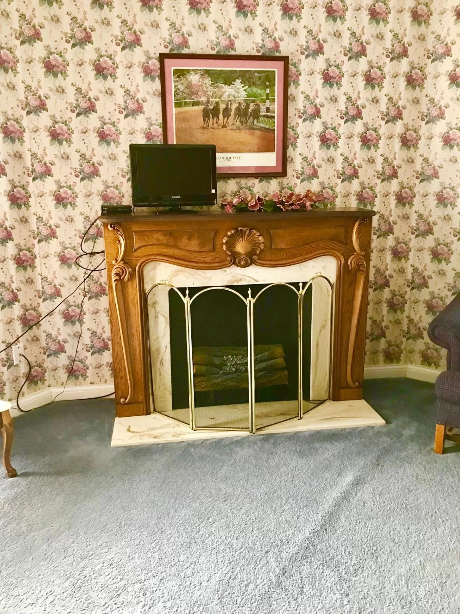 TV/Entertainment Center in Rabbit Creek Bed & Breakfast