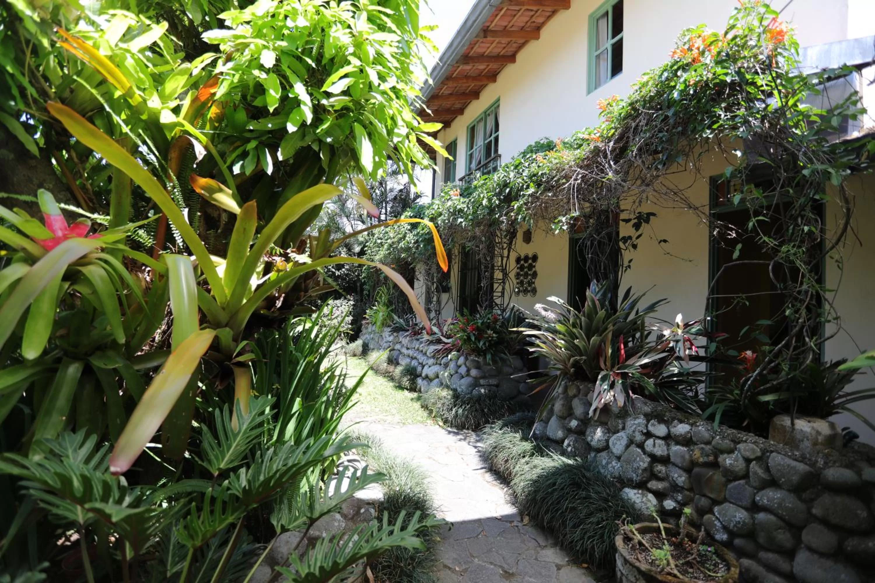 Property building, Garden in Tierra Magica B&B and Art Studio