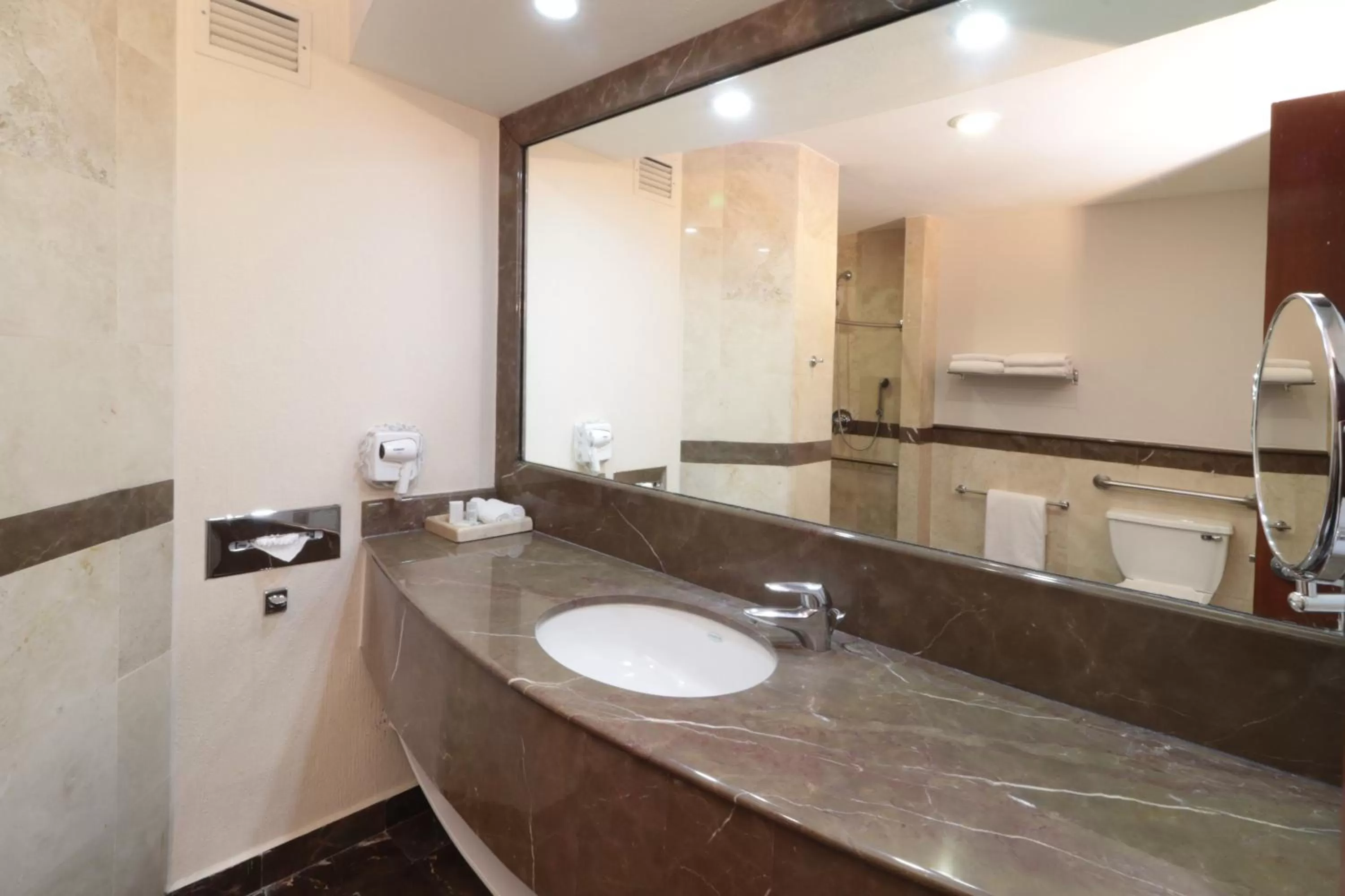 Bathroom in Holiday Inn Express San Luis Potosí by IHG