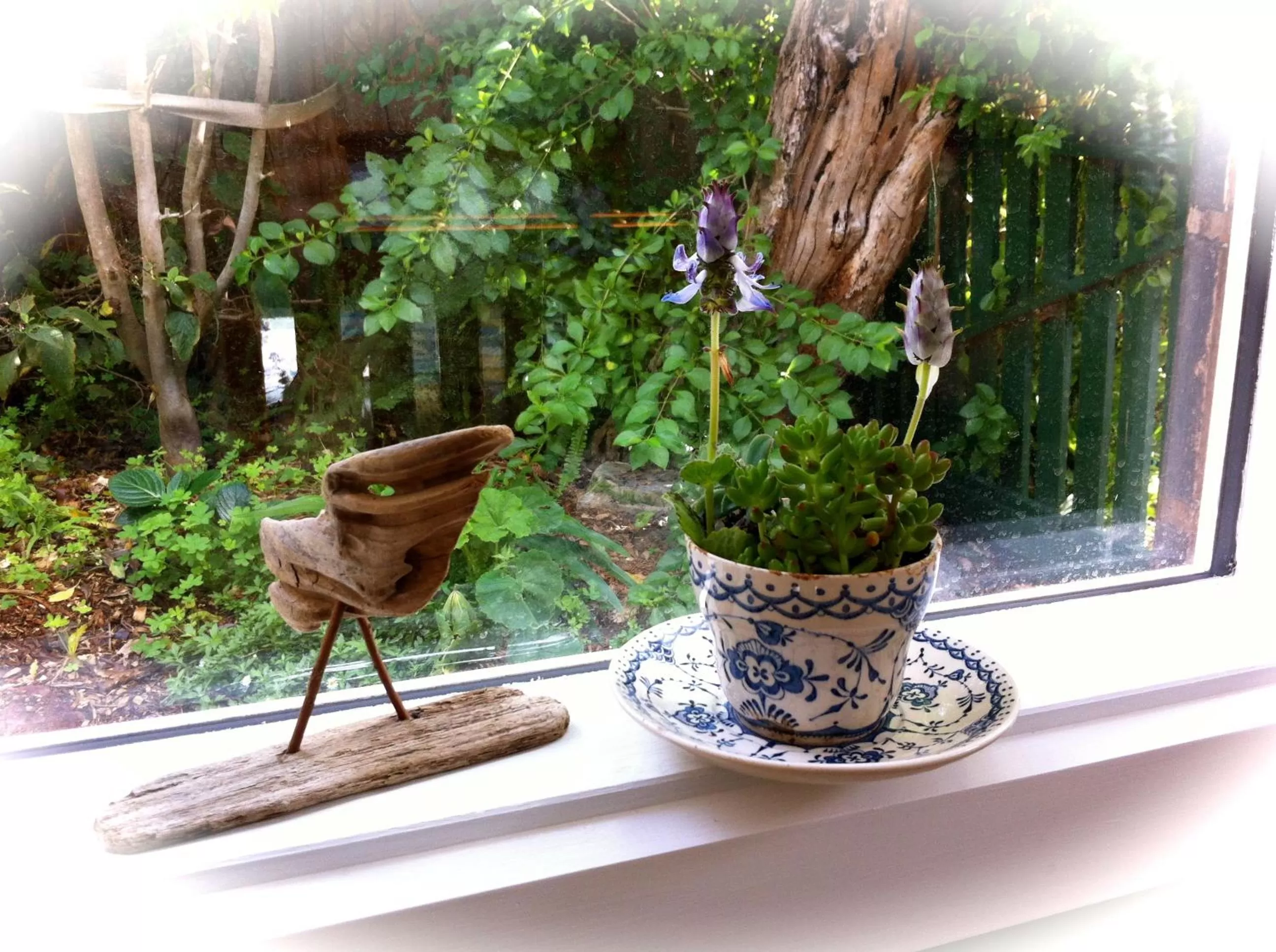 Natural landscape in Sea Salt Bnb