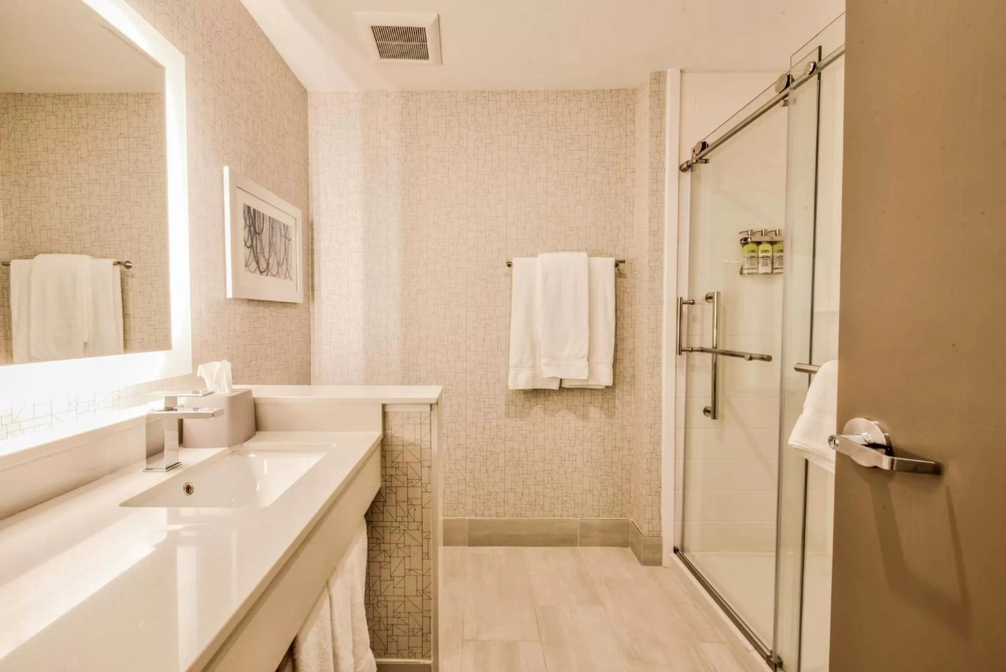 Bathroom in Holiday Inn Express & Suites Dallas NW - Farmers Branch by IHG