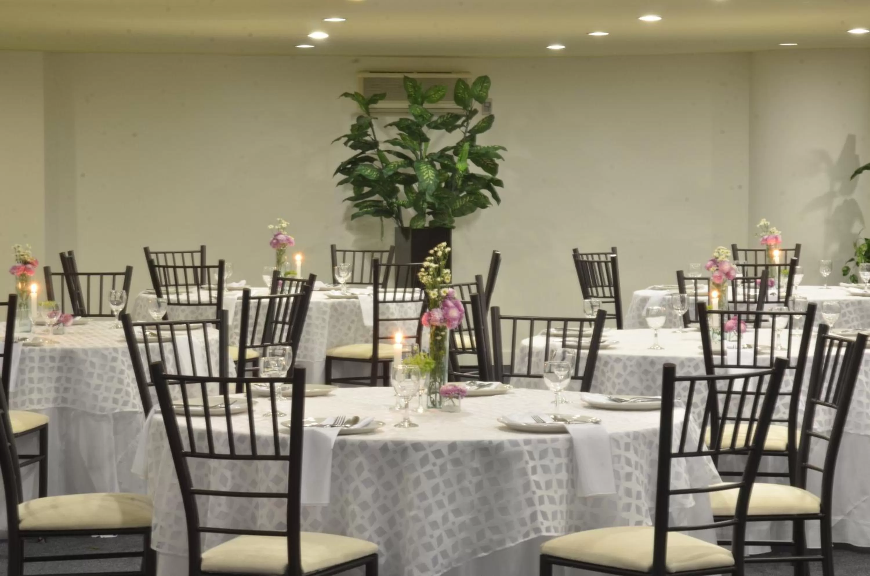 Restaurant/places to eat in Mision Monterrey Centro Historico