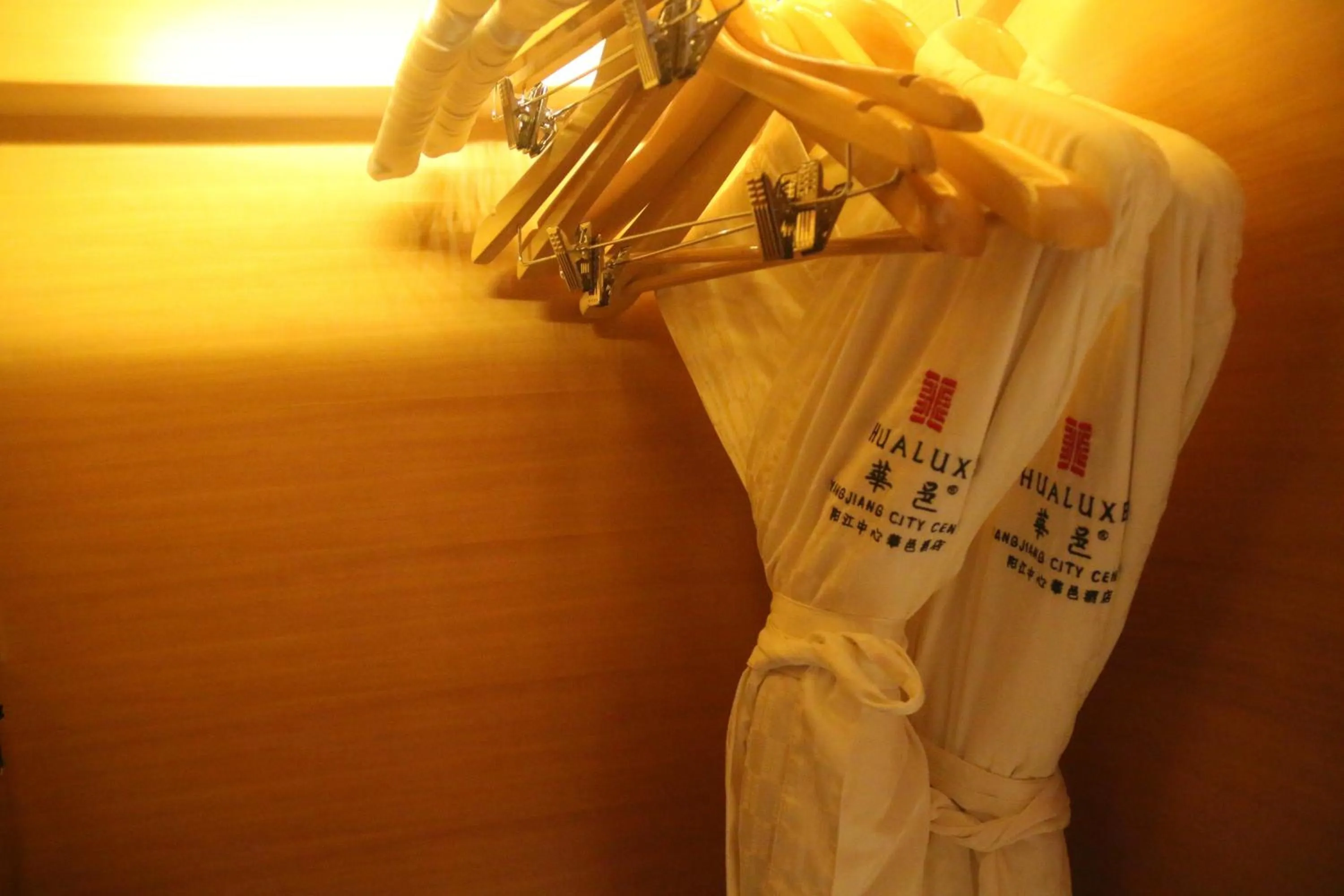 Area and facilities in HUALUXE Yangjiang City Center