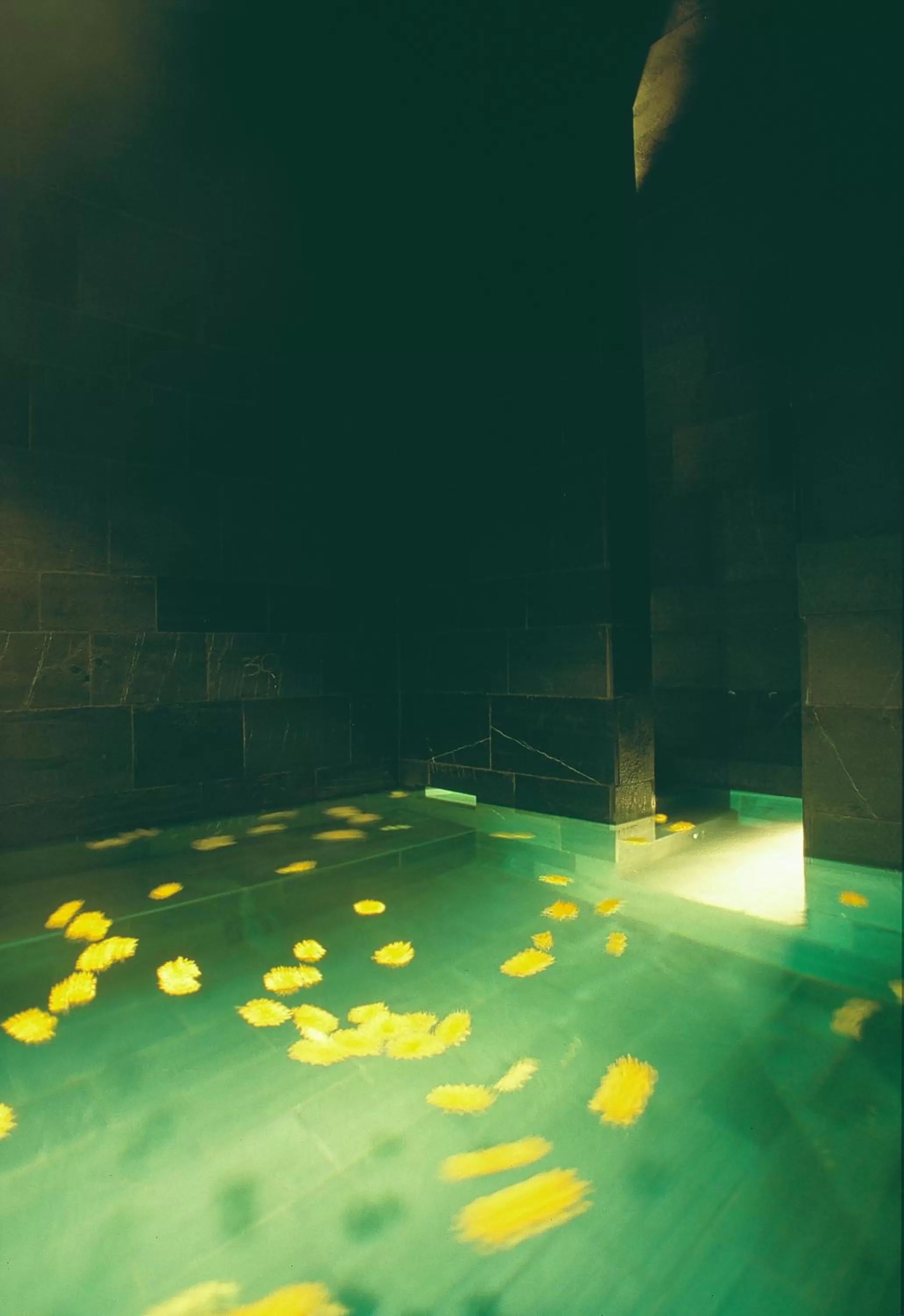 Spa and wellness centre/facilities in Hotel Milano Alpen Resort Meeting&Spa