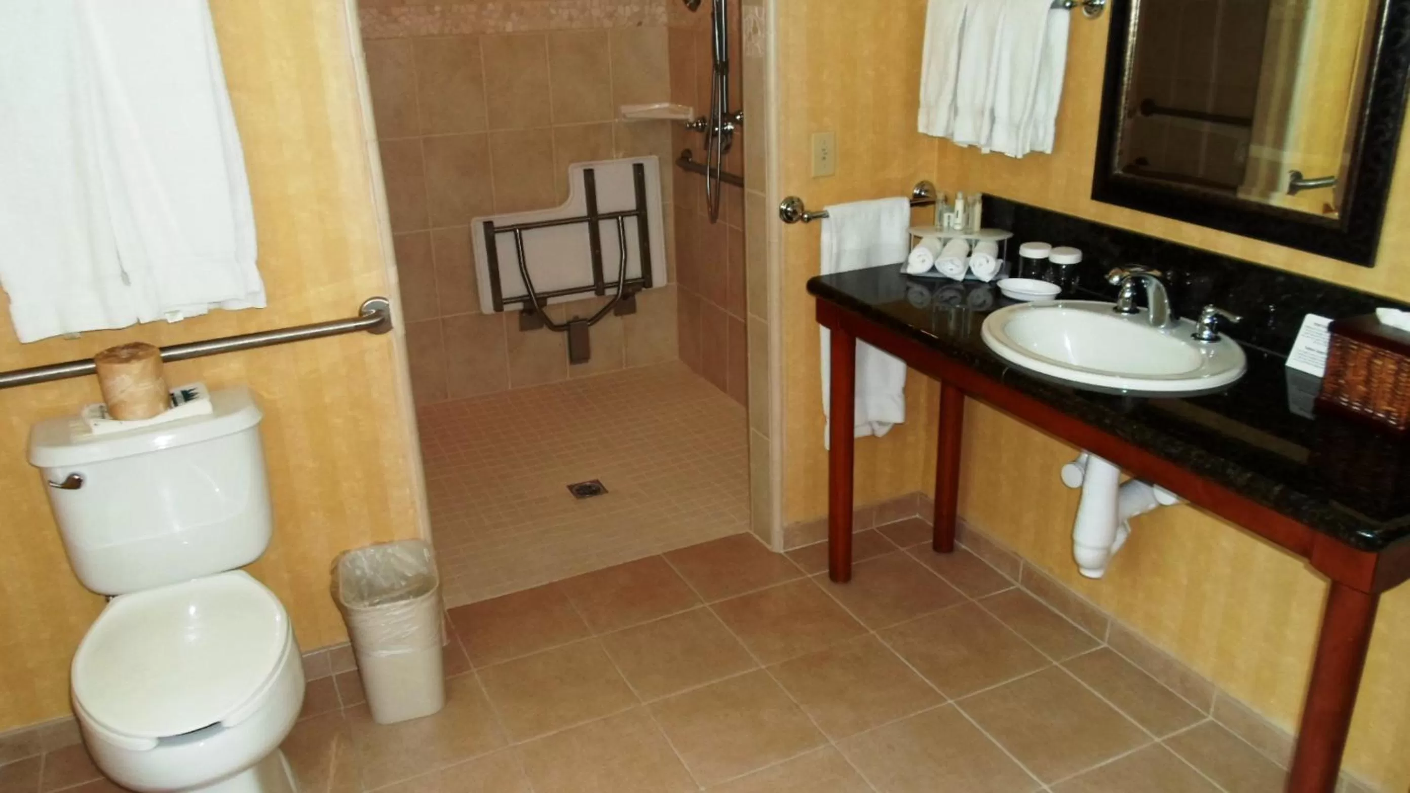 Bathroom in Holiday Inn Express South Lake Tahoe by IHG