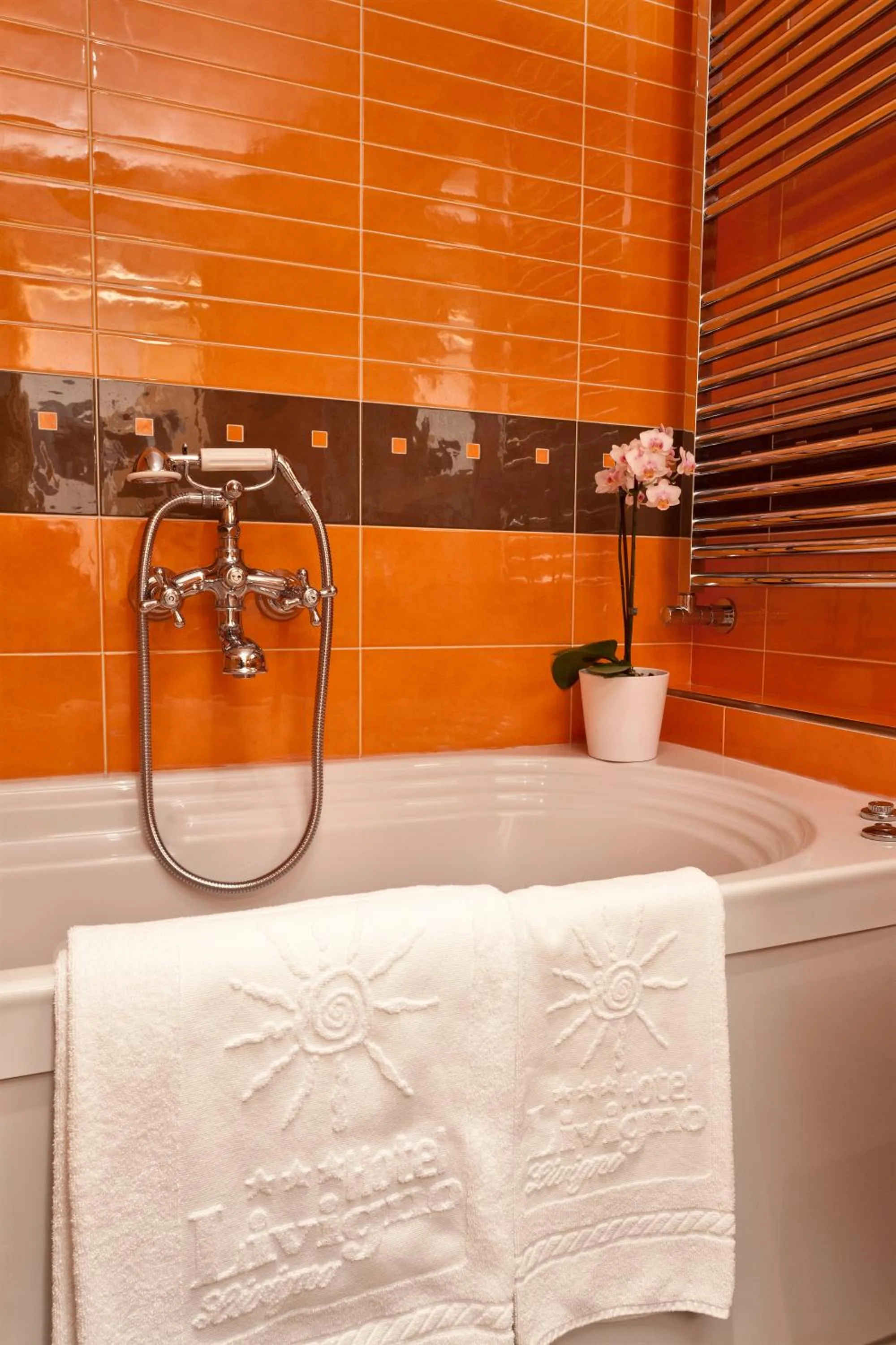 Hot Tub in Hotel Livigno