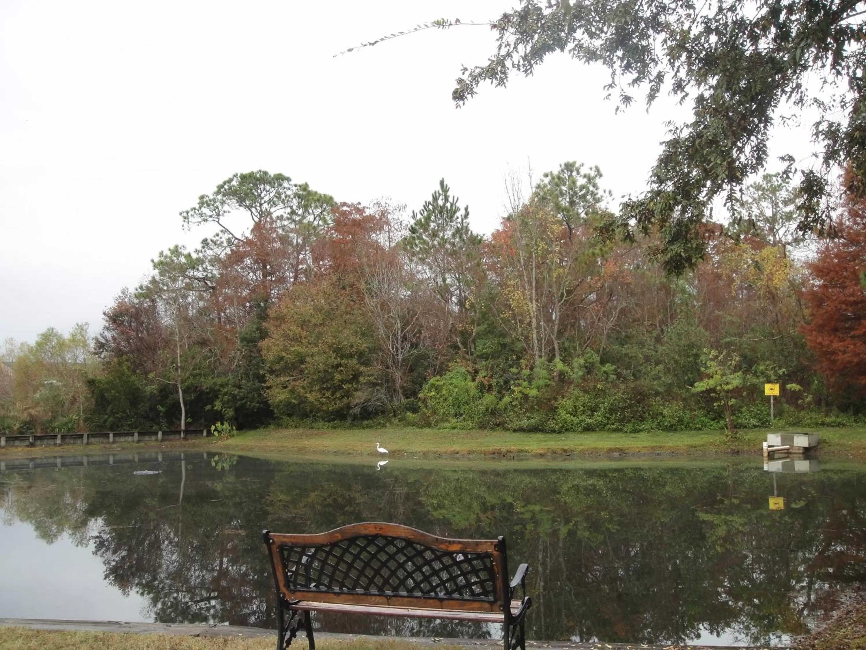 Area and facilities in Sleep Inn Jacksonville Airport