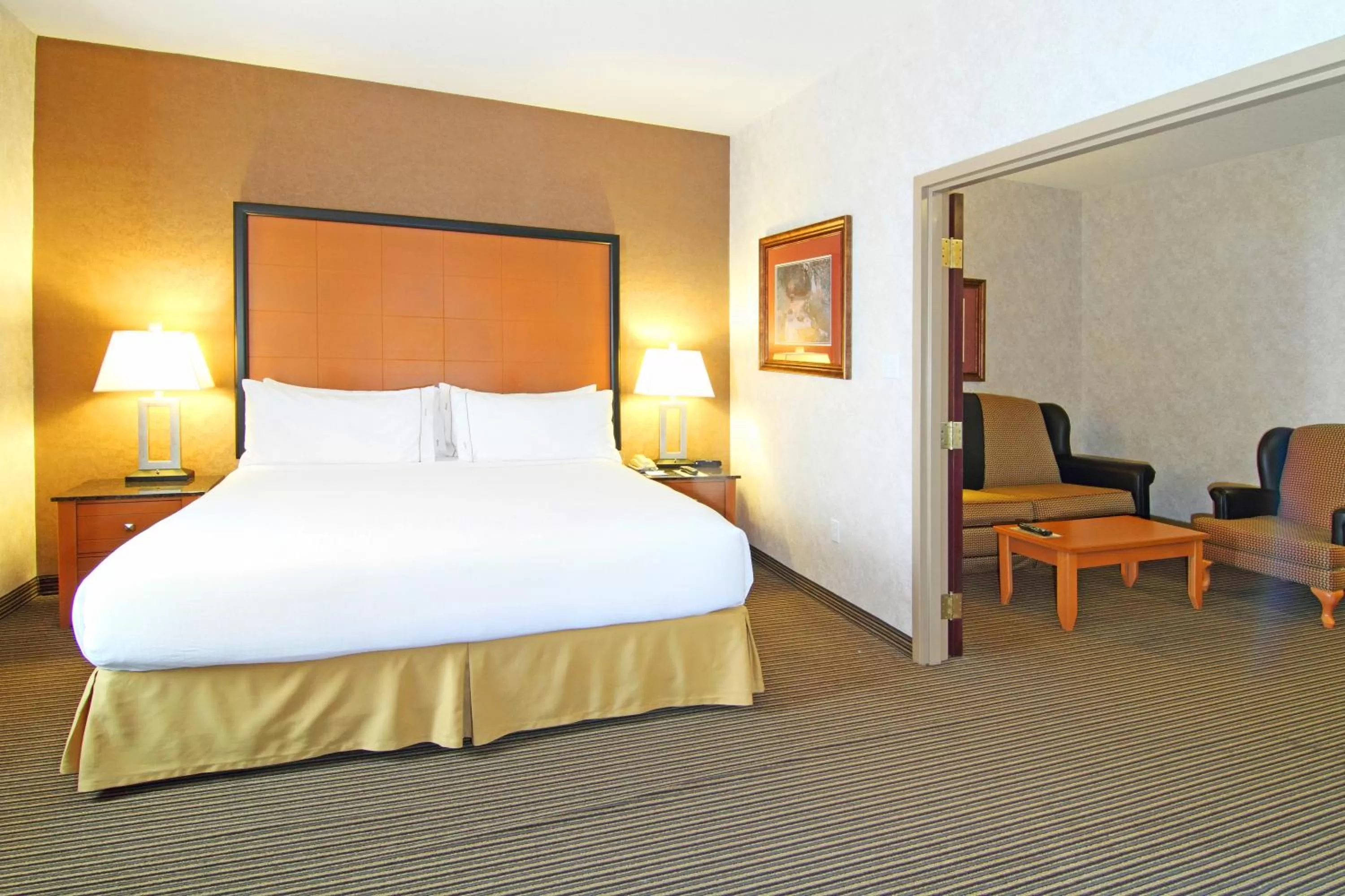 Holiday Inn Express Calgary South by IHG