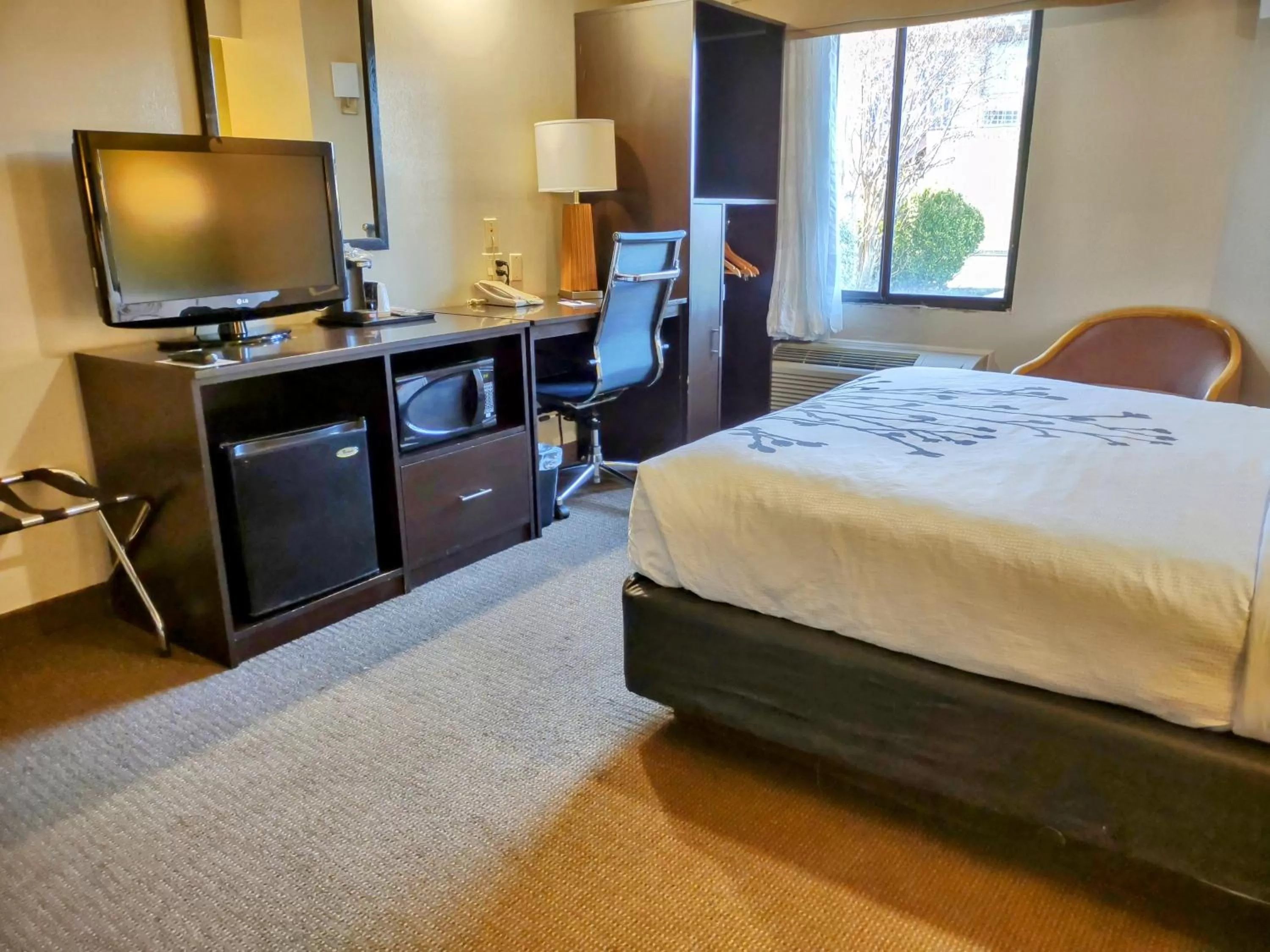 TV and multimedia, Bed in Sleep Inn Fredericksburg North