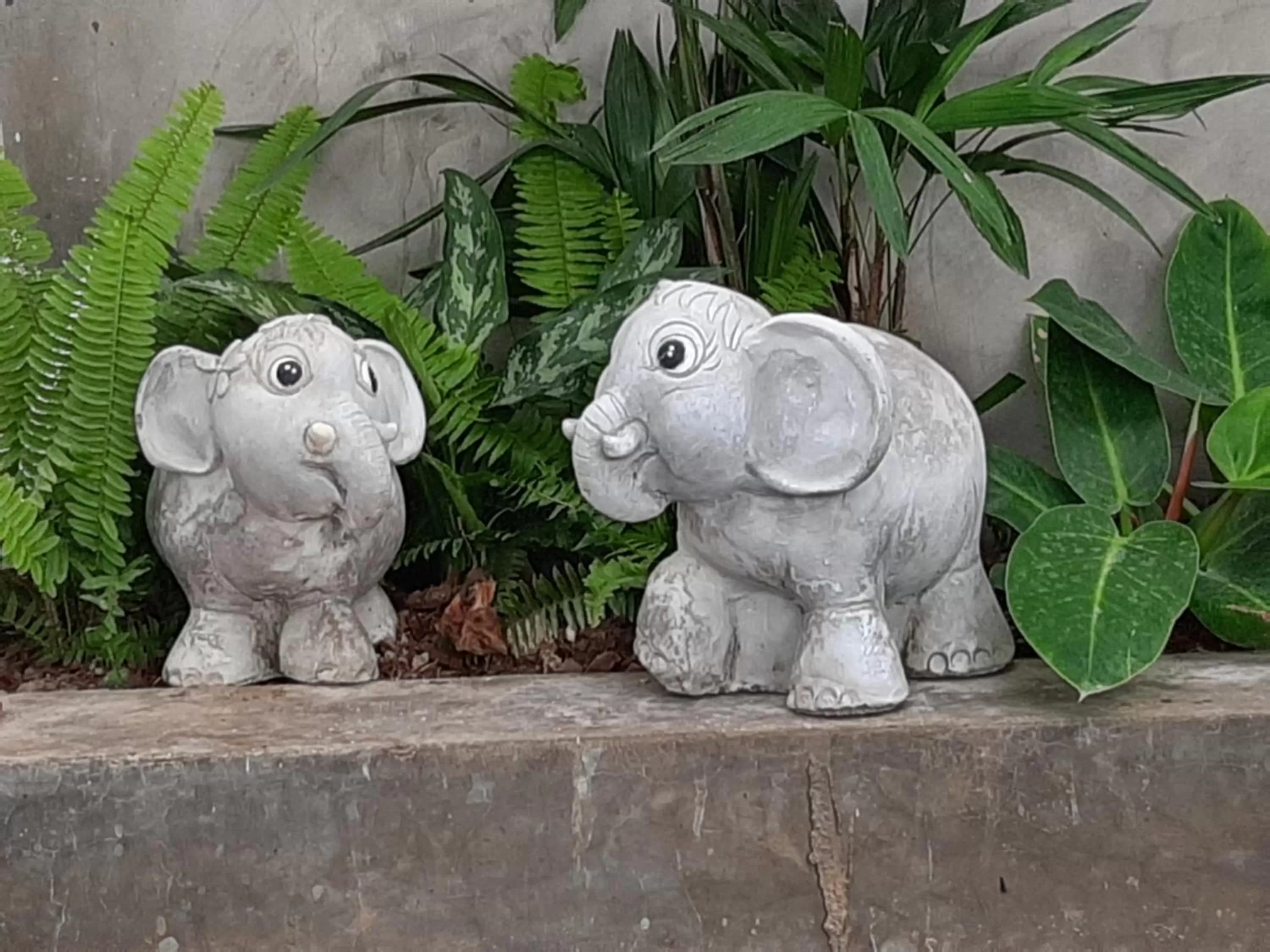 Other Animals in Fancy Carp Resort Hua-Hin