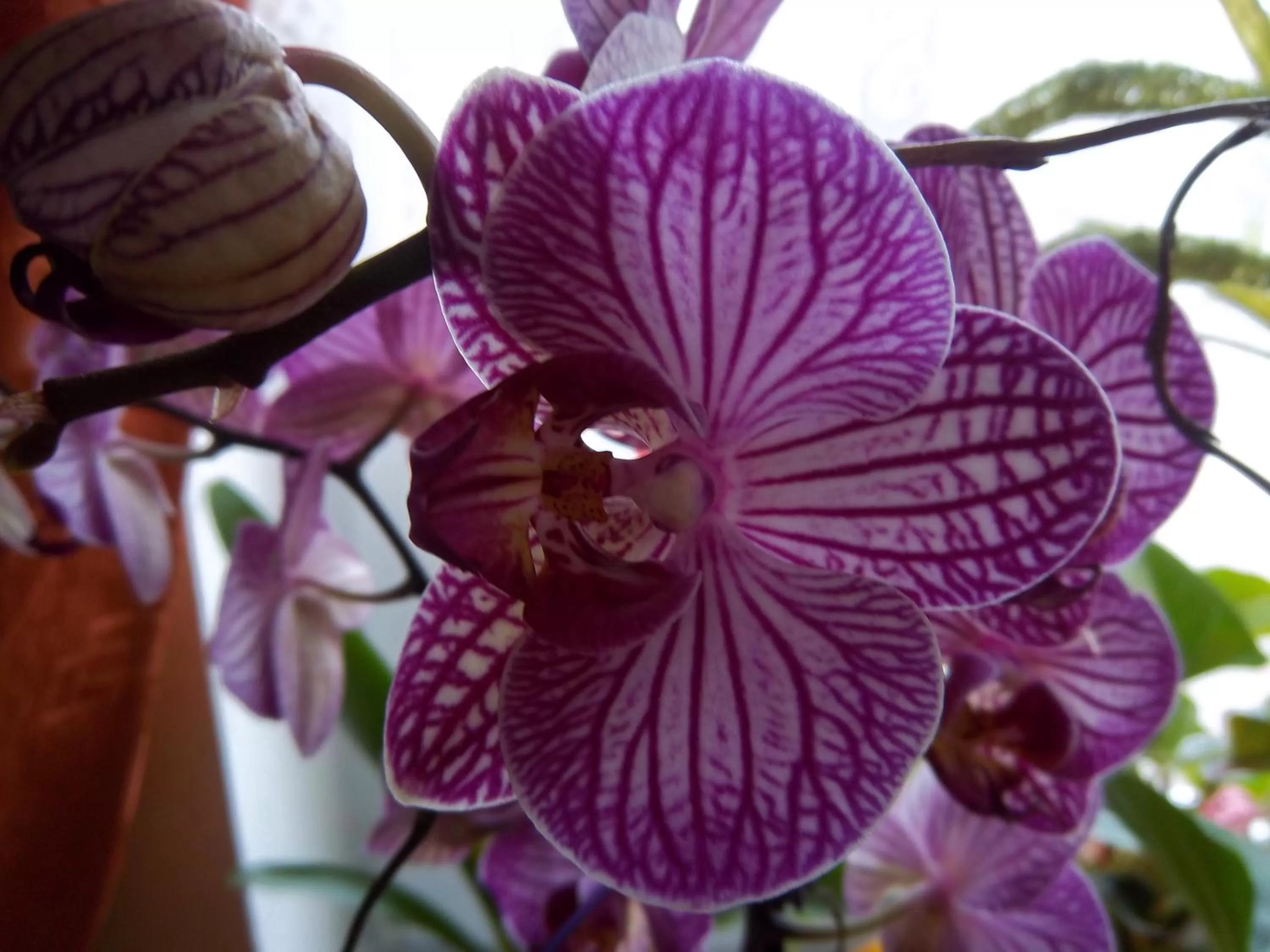 Hotel & Pension Aßmann