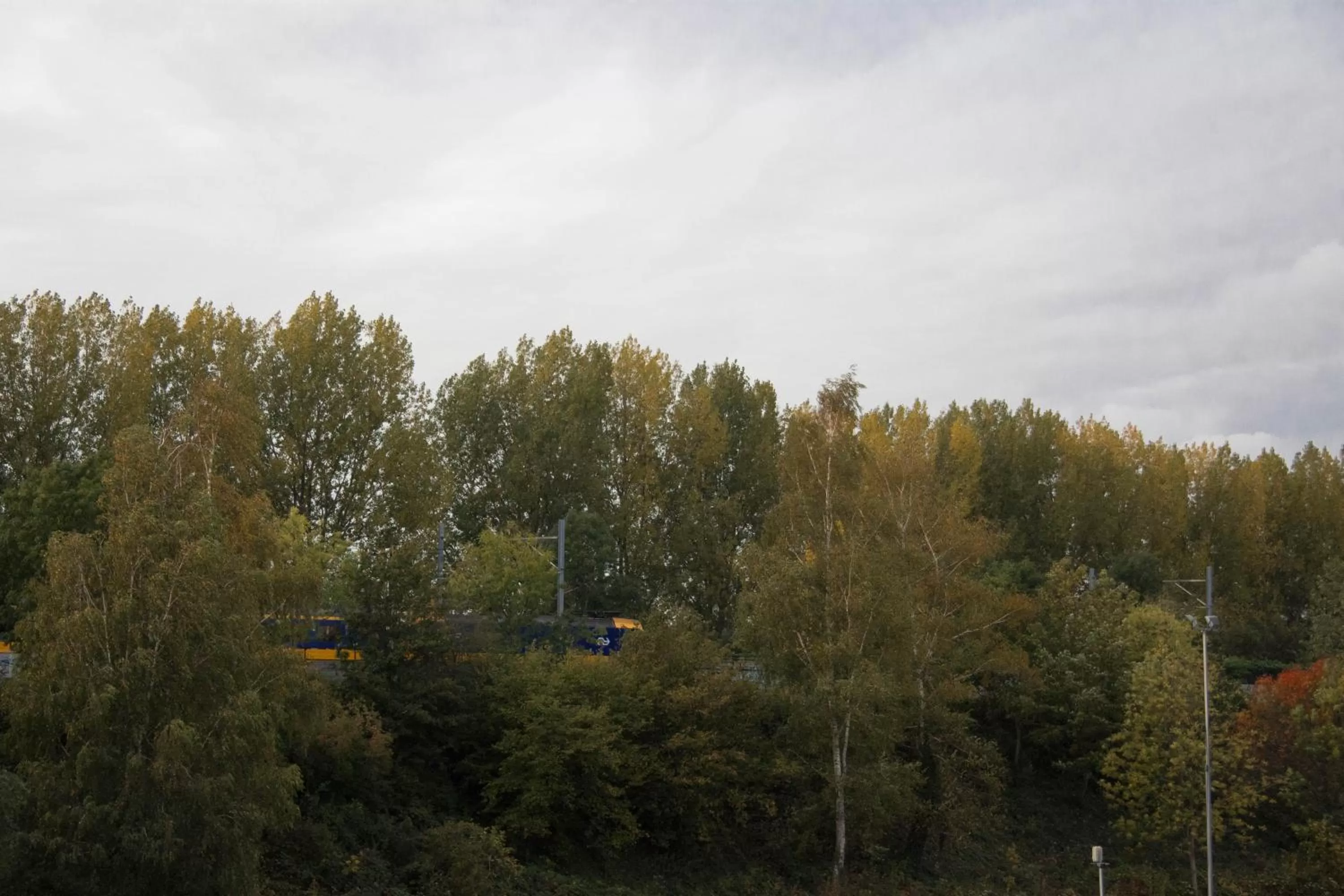 View (from property/room) in B&B Mondriaan