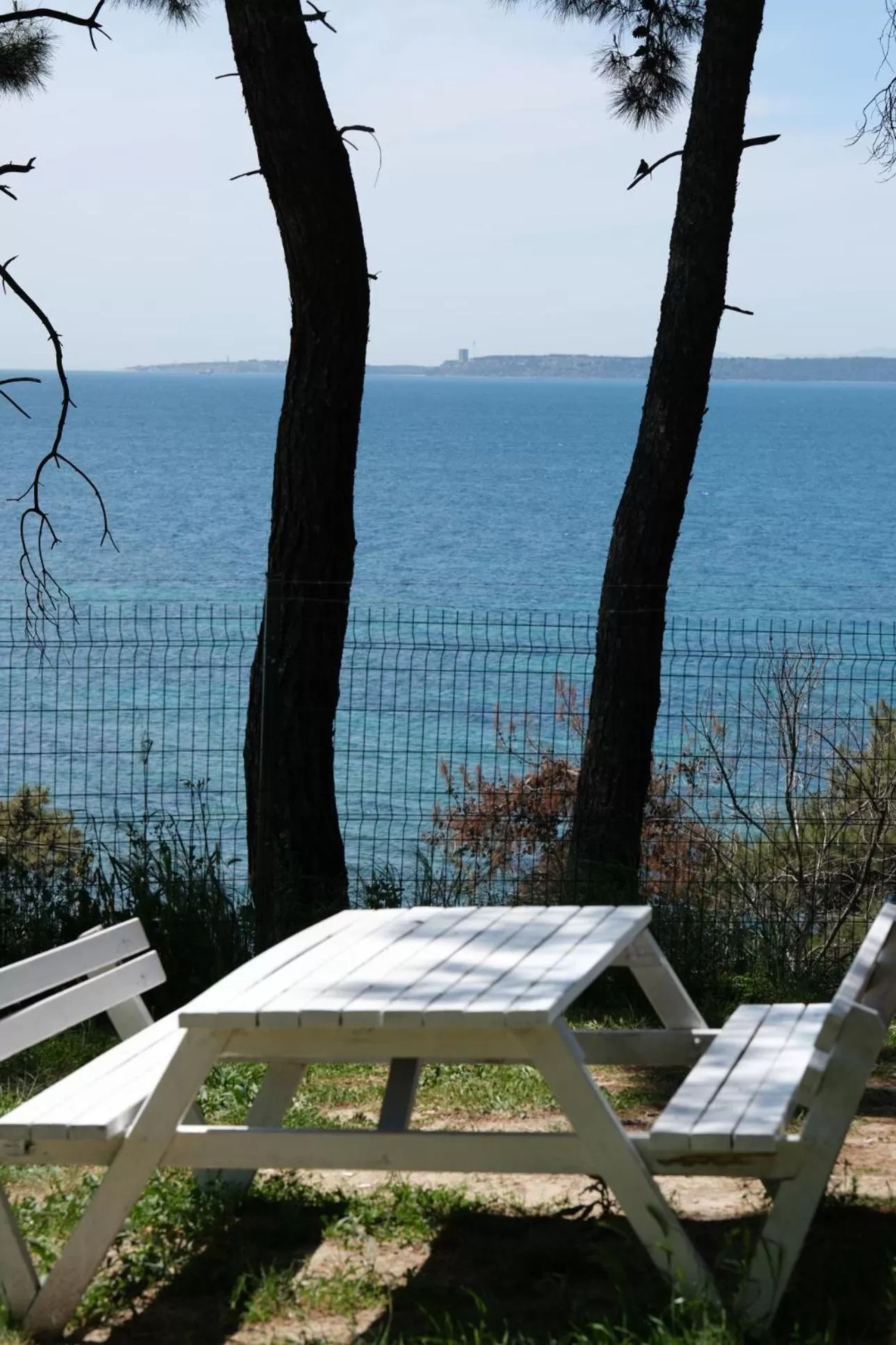 Natural landscape in Troia Tusan Hotel