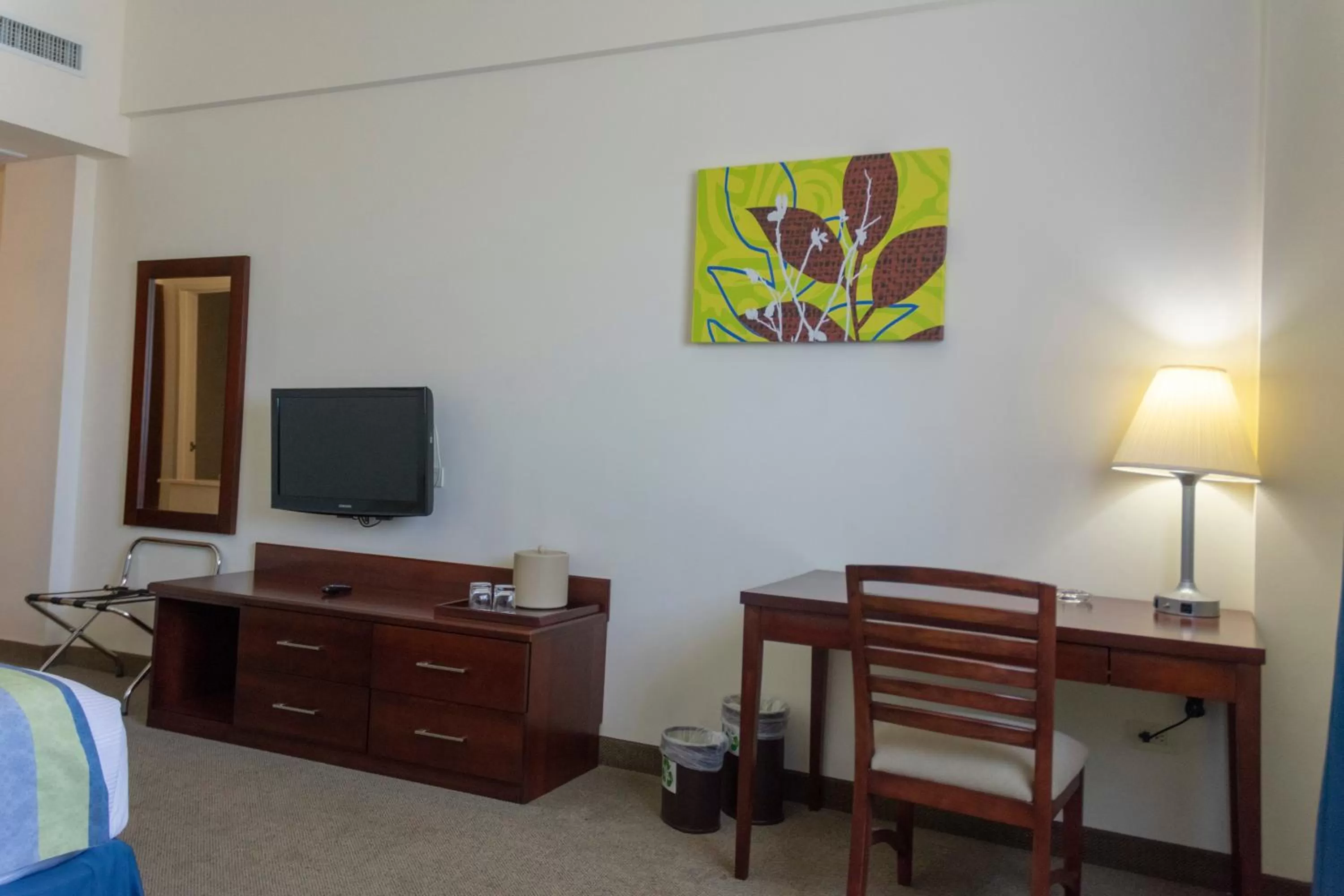 TV and multimedia in Hotel Aeropuerto Los Cabos