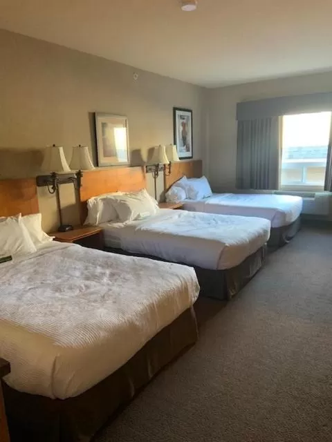 Bed in Canalta Rimbey