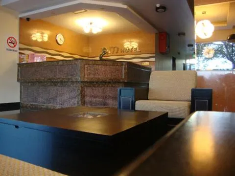 Lobby or reception in DM Hotel