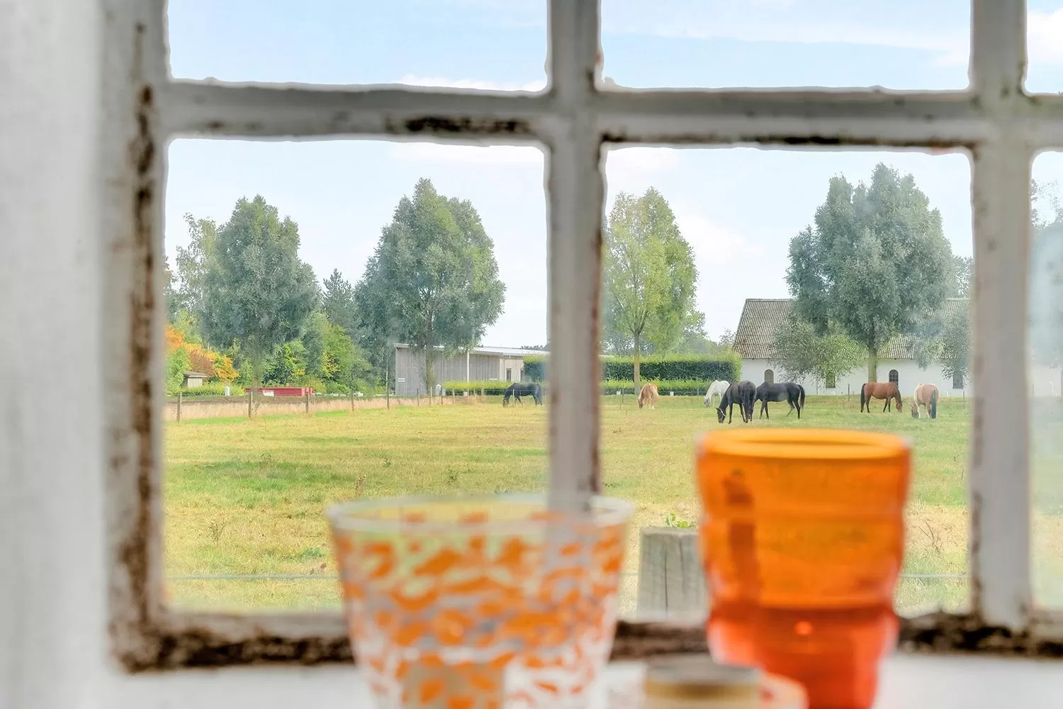 Garden view in Åløkke BnB