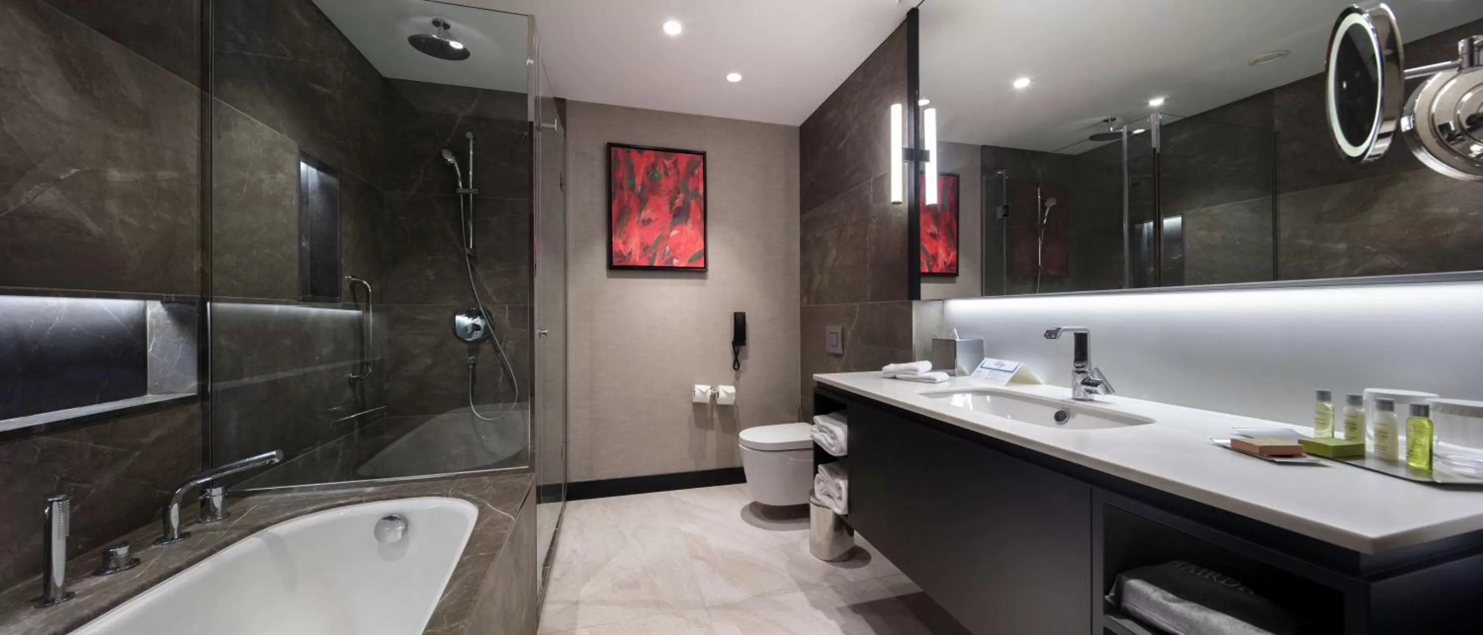 One-Bedroom King Suite in Hilton Istanbul Maslak