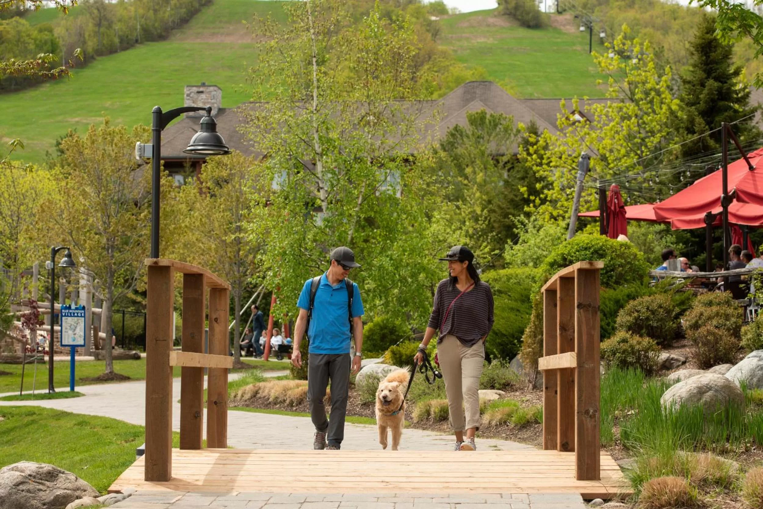 Spring in Blue Mountain Resort Home Collection